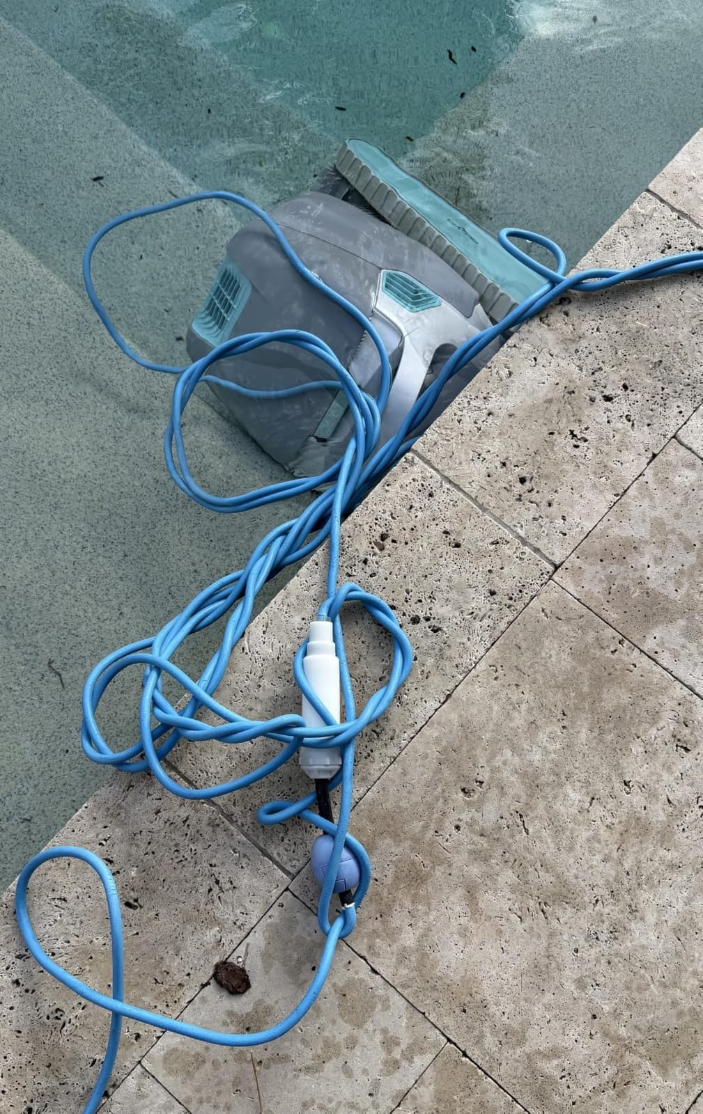Dolphin Automatic Robotic Pool Vacuum Cleaner, Wall Climbing Scrubber Brush, Smart Navigation, Ideal for In-Ground Pools up to 40FT in Length - Nautilus CC Plus customer photo 1