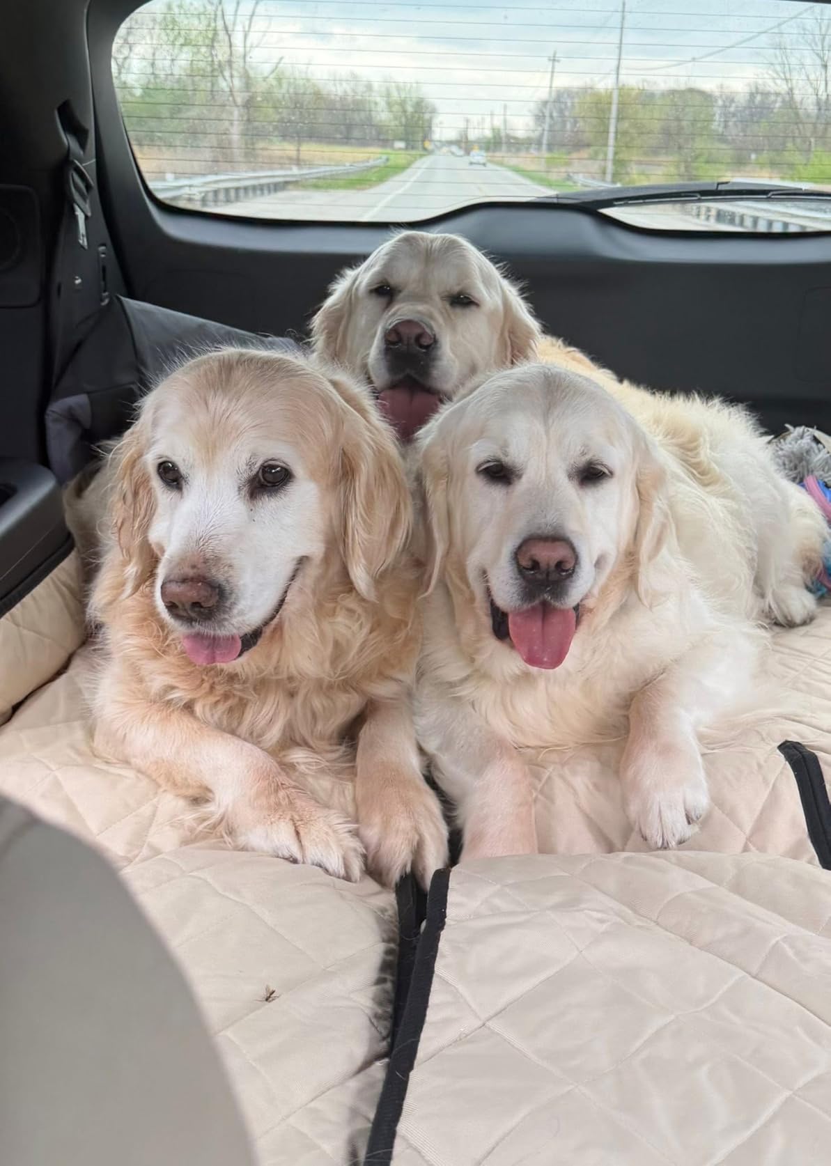 4Knines SUV Cargo Liner for Dogs, Fold Down Seats, Black Large customer photo 1