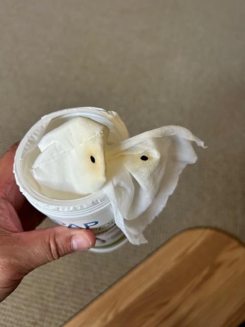 resplabs CPAP Mask Wipes Unscented Cleaner for Full Face, Nasal Masks & Supplies 110 Wipes customer photo 1