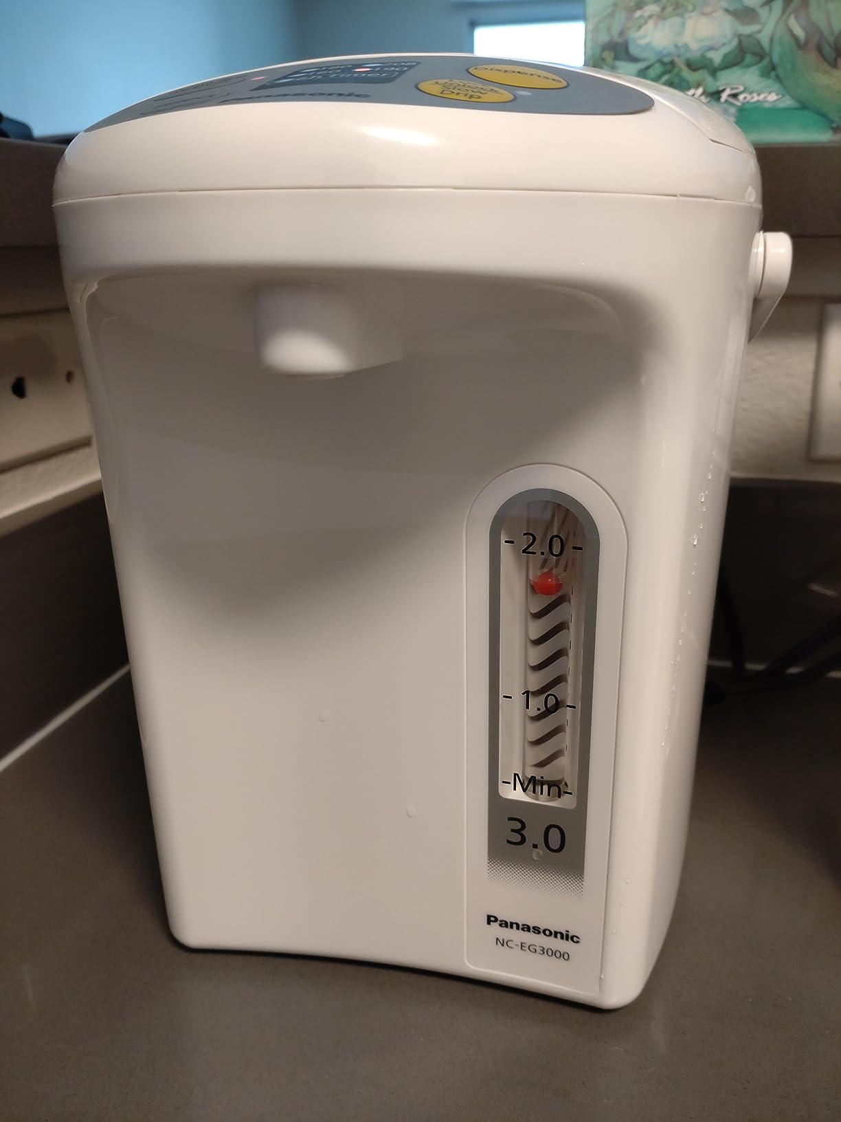 Panasonic Electric Thermo Pot Hot Water Boiler Dispenser NC-EG4000, Slow-Drip Mode for Coffee, Ideal for Tea, Hot Cocoa, Soups and Baby Food, Four Temperature Settings, 4.2 Quarts (4.0L), 700W, White customer photo 1