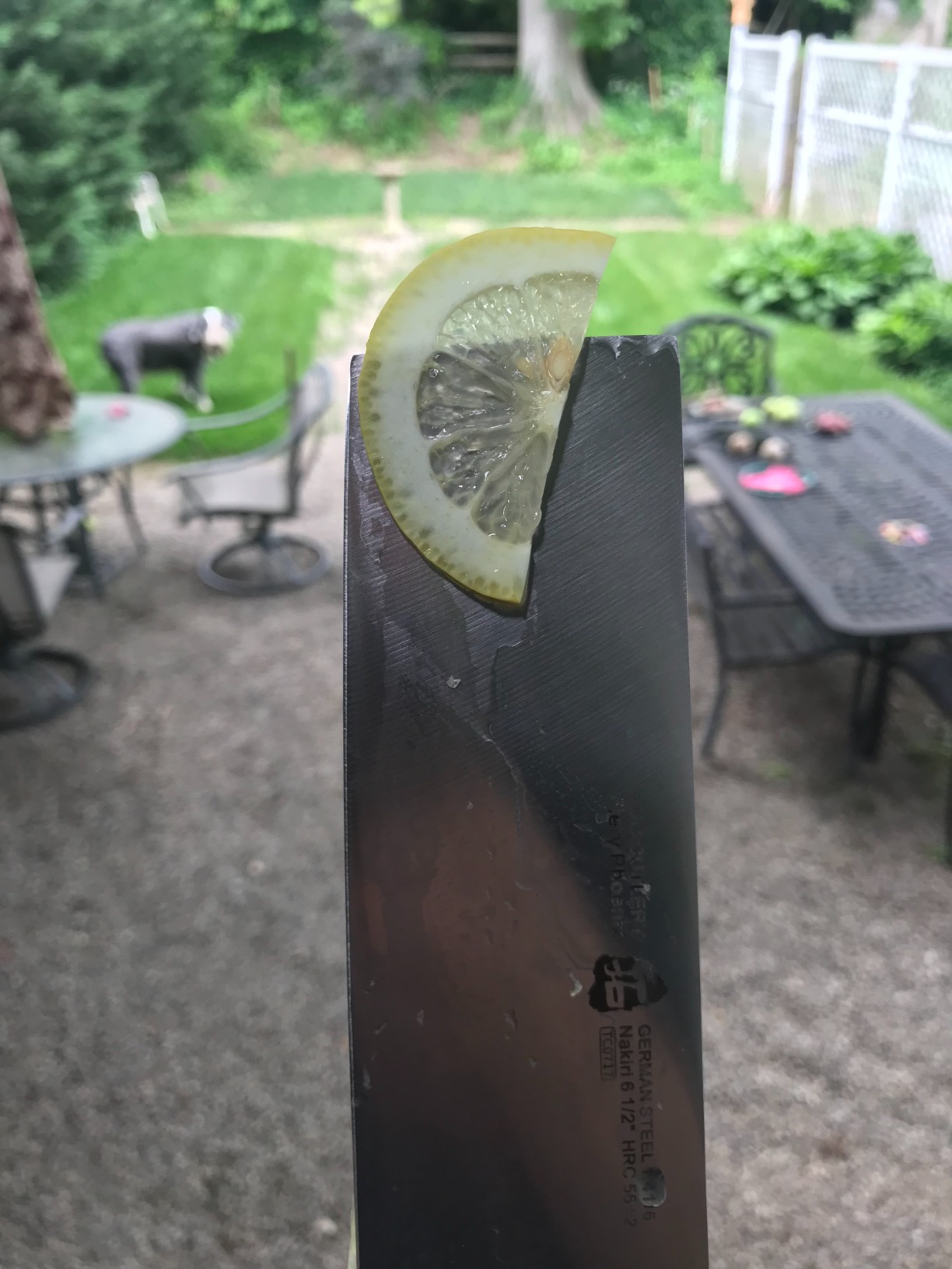 TUO Vegetable Cleaver Knife, Chinese Chef Knife 7 inch Meat Cleaver with Pakkawood Handle, Stainless Steel Butcher Chopper for Home Kitchen - Fiery Phoenix Series customer photo 2