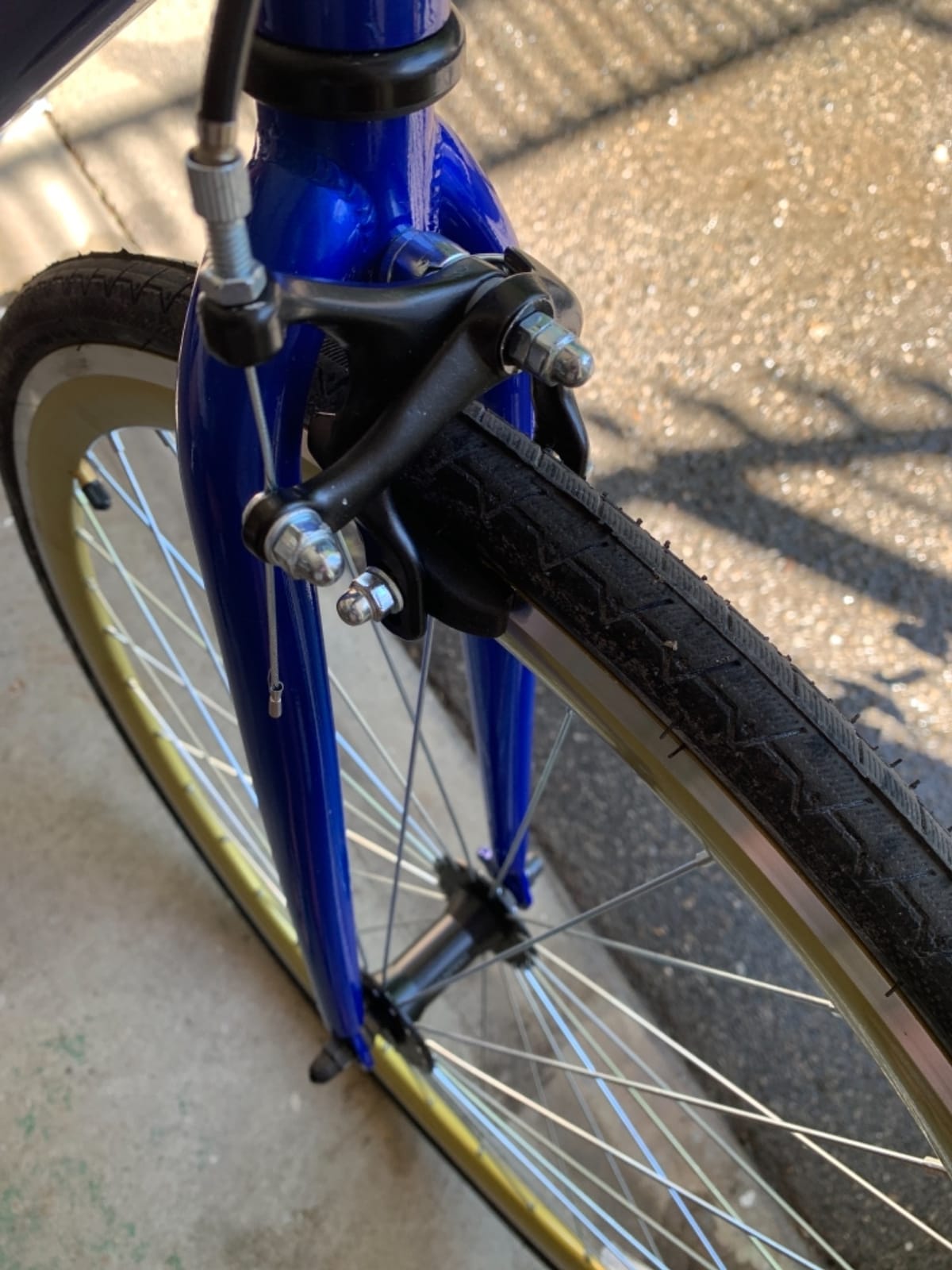 Schwinn Kedzie Single-Speed Fixie Road Bike, Lightweight Frame for City Riding customer photo 1