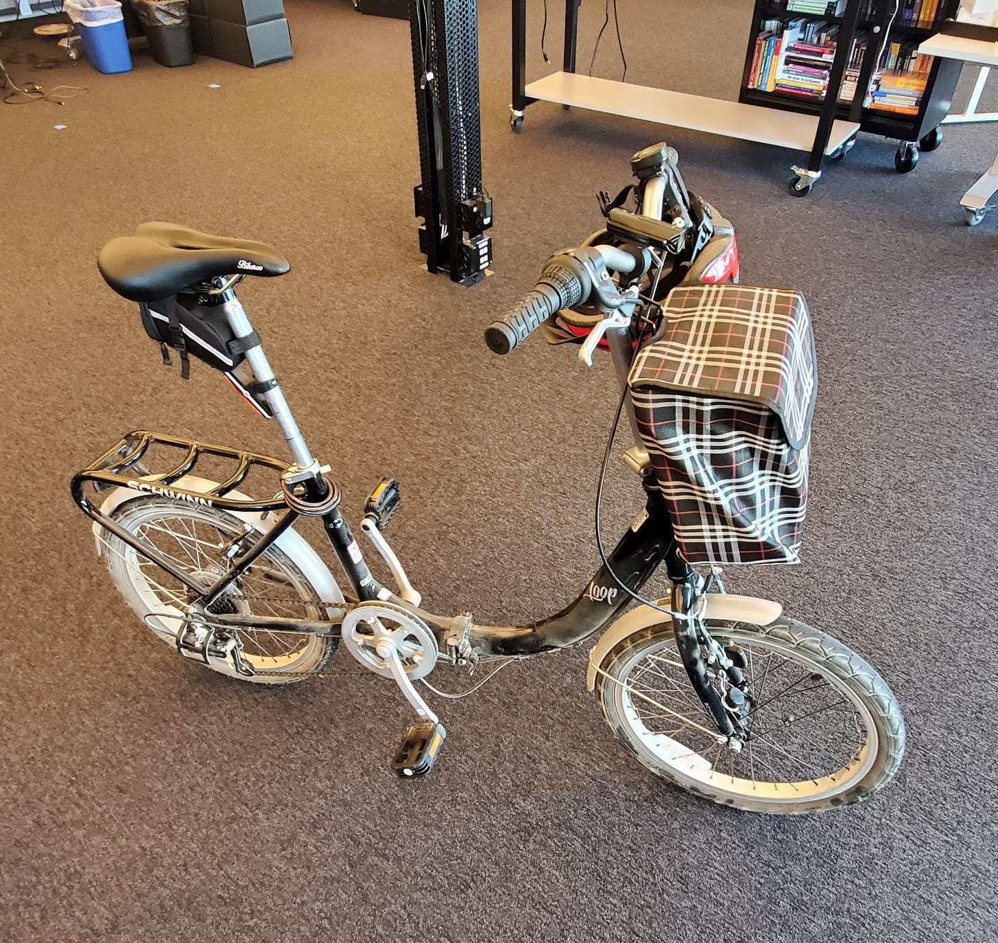 Schwinn Loop customer photo 2