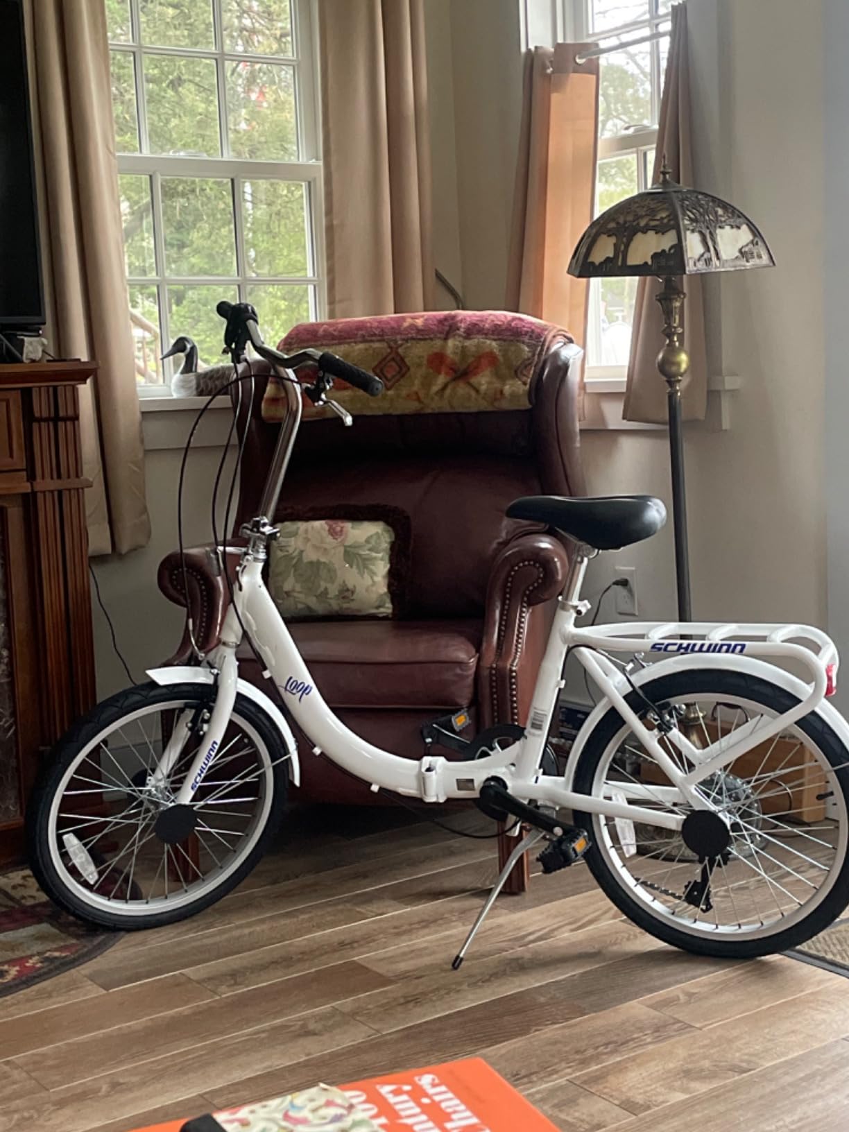 Schwinn Loop customer photo 2