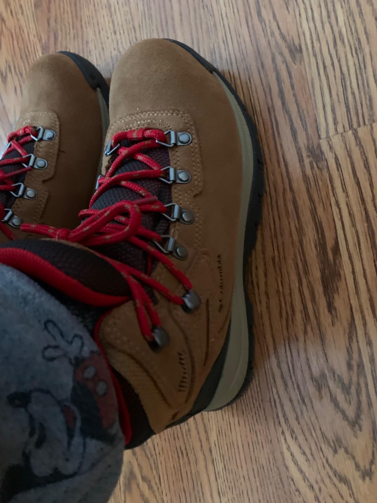 Columbia Women's Discontinued Newton Ridge Plus Waterproof Amped Hiking Boot customer photo 2