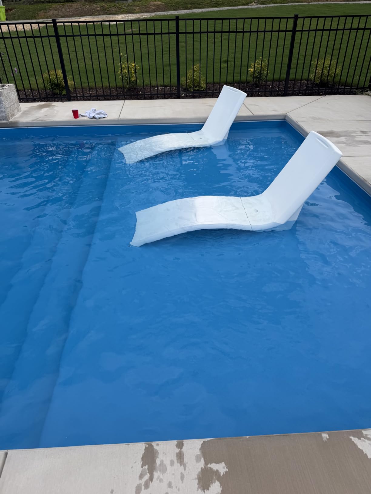 Dolphin Nautilus CC Automatic Robotic Pool Vacuum Cleaner, Wall Climbing Scrubber Brush, Top Load Filter Access, Ideal for Above/In-Ground Pools up to 33 FT in Length customer photo 2