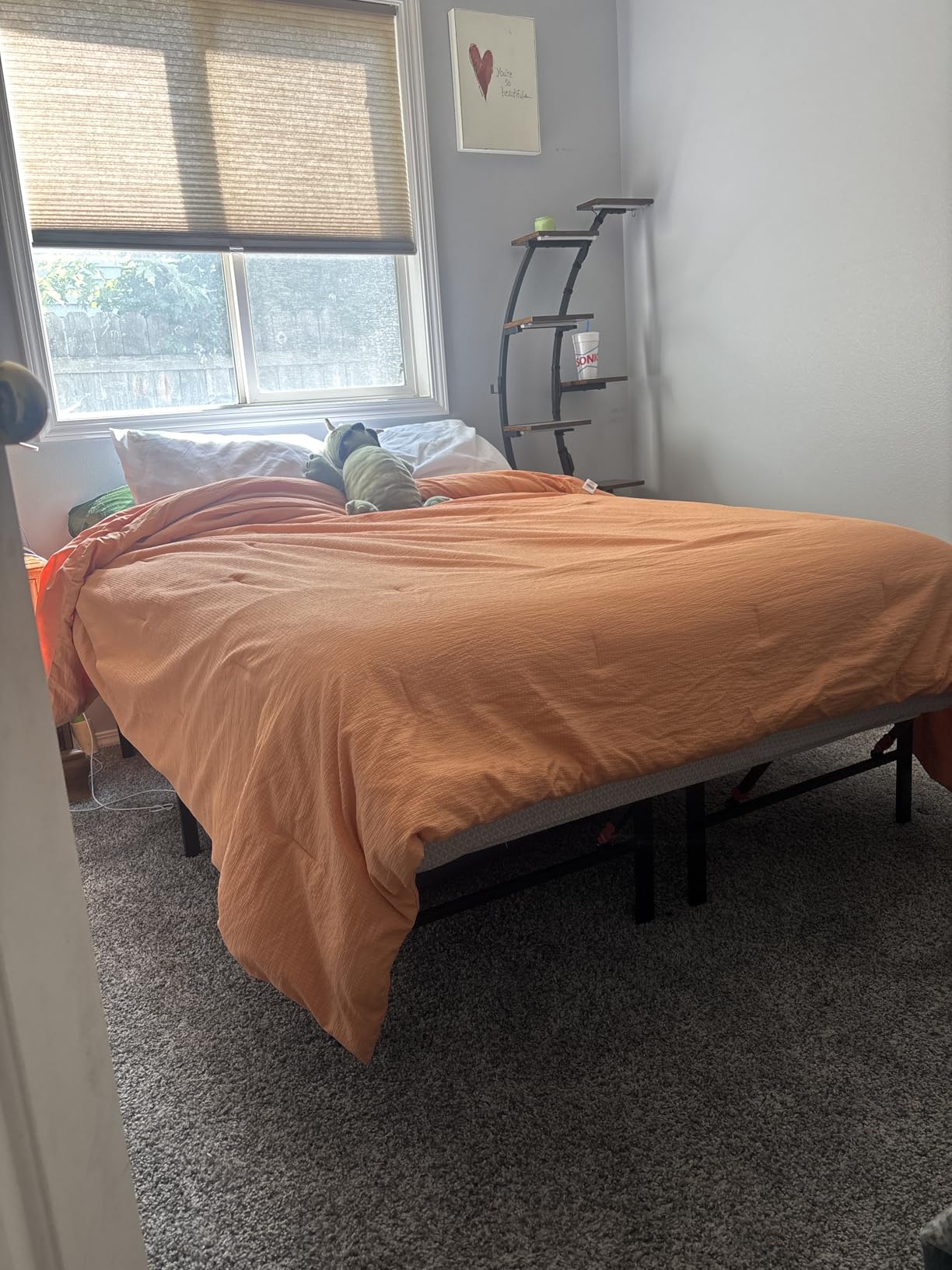 Amazon Basics Bed Frame with Storage, Foldable Metal Platform, Sturdy Steel, No Box Spring Needed, 14 inches High, Tool-Free Easy Assembly, Noise-Free, King Size, Black customer photo 2