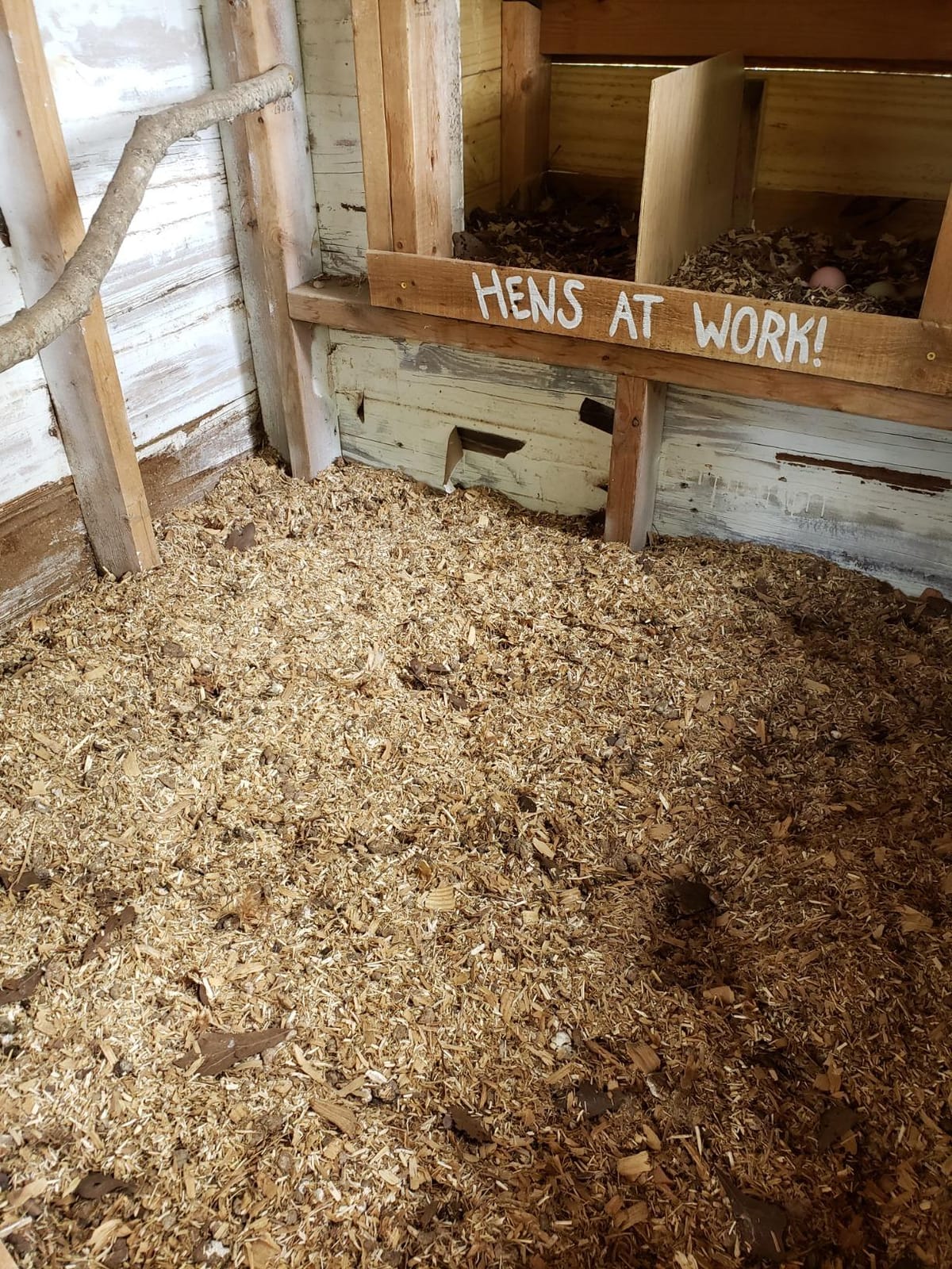 RentACoop Premium Hemp Bedding for Chickens, Rabbits, Horses - 300L (30lbs) customer photo 2
