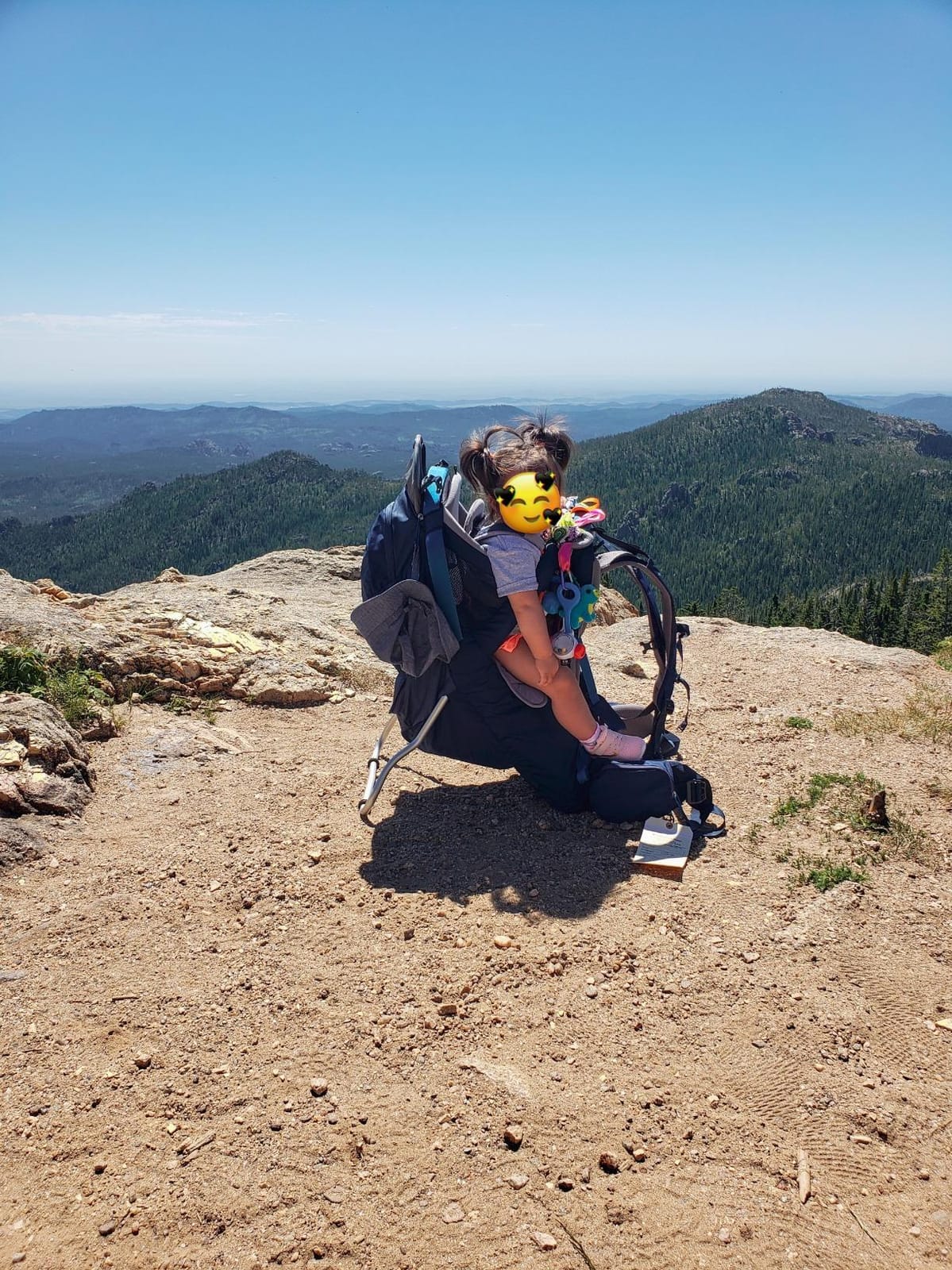 Kelty Journey Signature Child Carrier Backpack, Perfectfit Adjustable Suspension for Moms and Dads, 5 Point Safety Harness, Sunshade SPF Protection, Easy to Clean customer photo 1