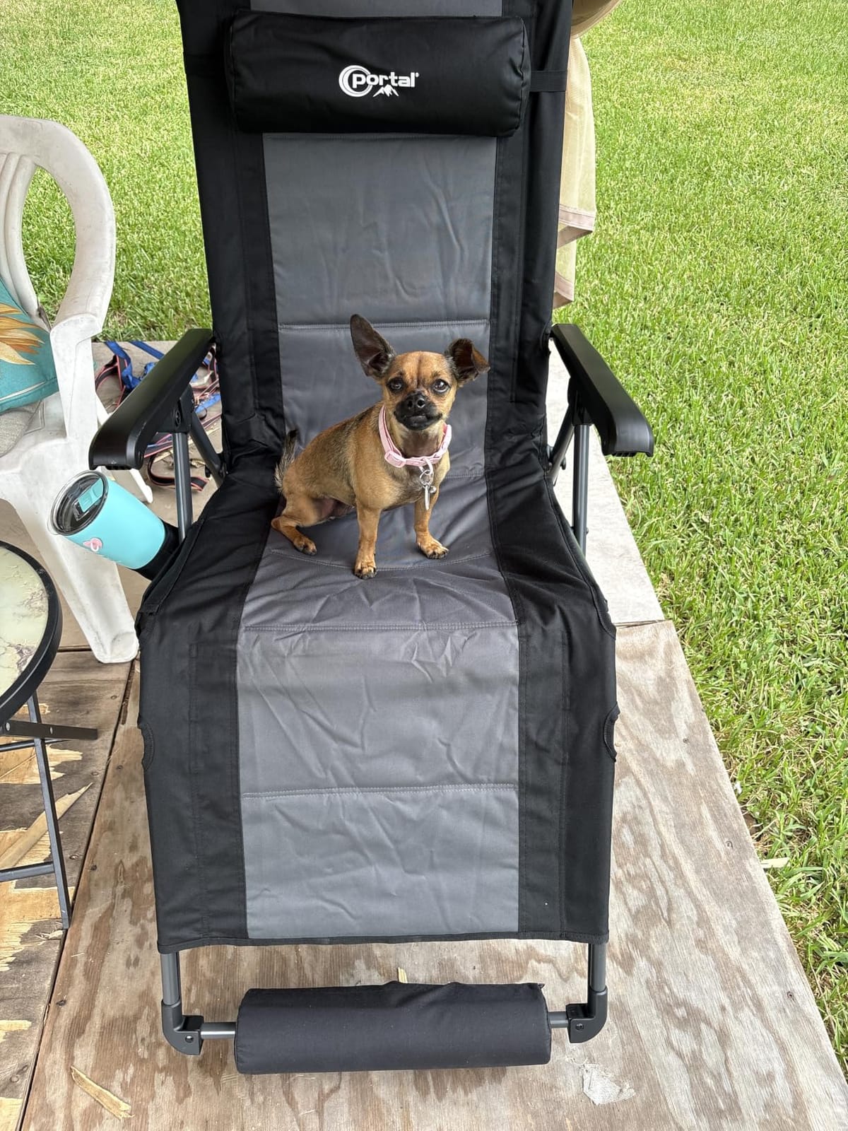 Portal Oversized Mesh Back Zero Gravity Reclining Patio Chairs, XL Padded Seat Folding Patio Lounge Chair with Adjustable Pillows and Cup Holder for Poolside, Support 350lbs, Mesh Green, 1 Pack customer photo 2