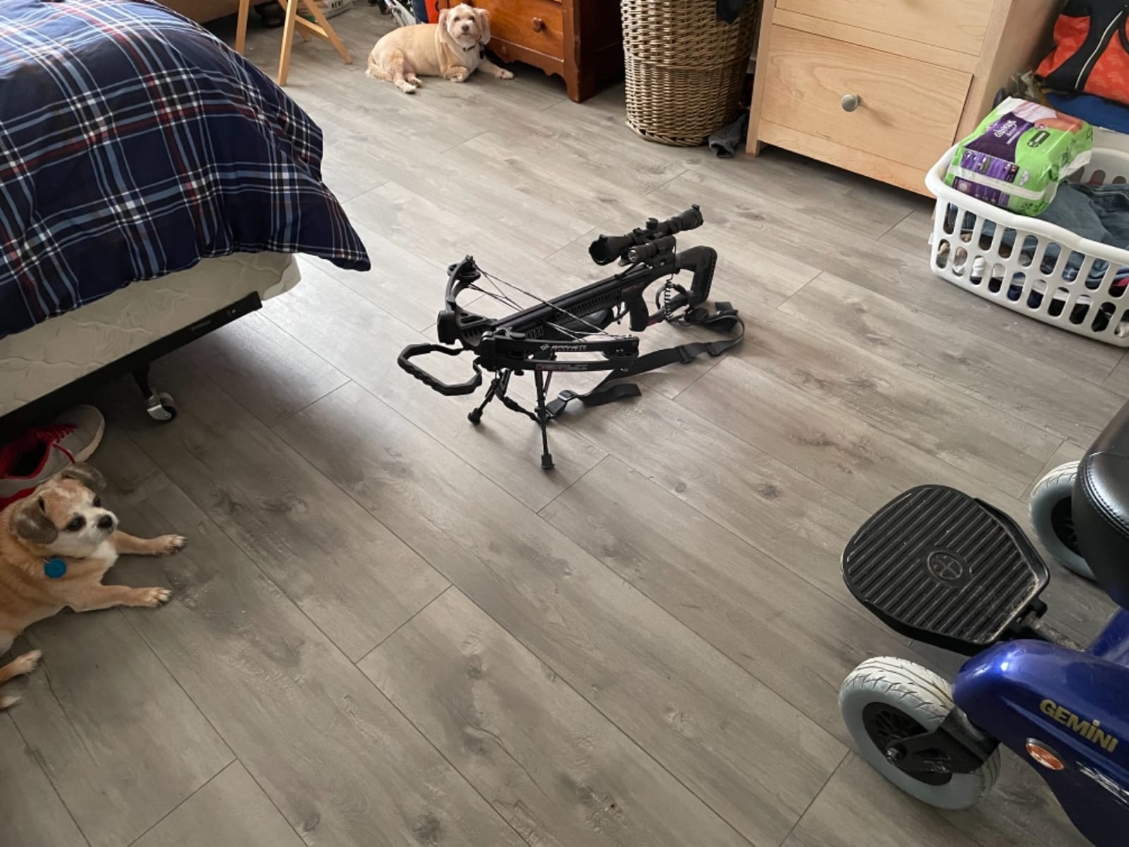 CVLIFE Carbon Fiber Picatinny Bipod Sling Stud Bipod with Adapter Field Use customer photo 2