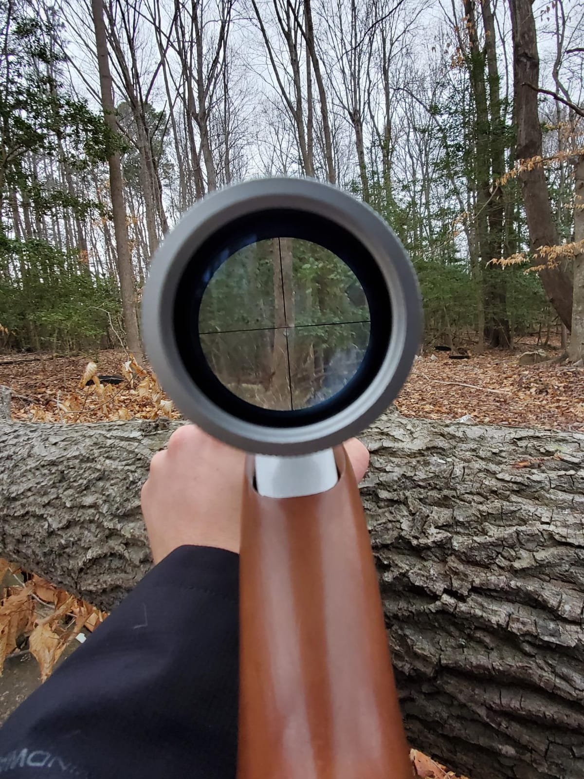Hammers Stainless Silver Rifle Scope 3-9x32 for 10/22 597SS Model 60 795 XT 22 Auto with Matching 3/8 Tip Off Dovetail Scope Rings customer photo 2