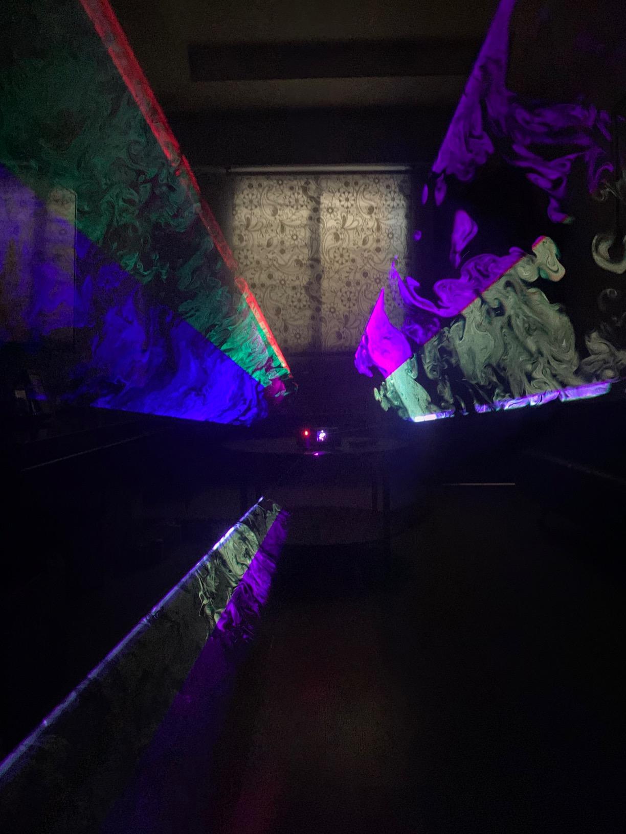 Professional RGB Laser Party Lights,Sound Activated DJ Disco Light,DMX512 Remote Control Scanner Beam Effect Lazer Projector Lighting for Show KTV Bar Club School Dances Corporate Event Mobile DJs customer photo 1