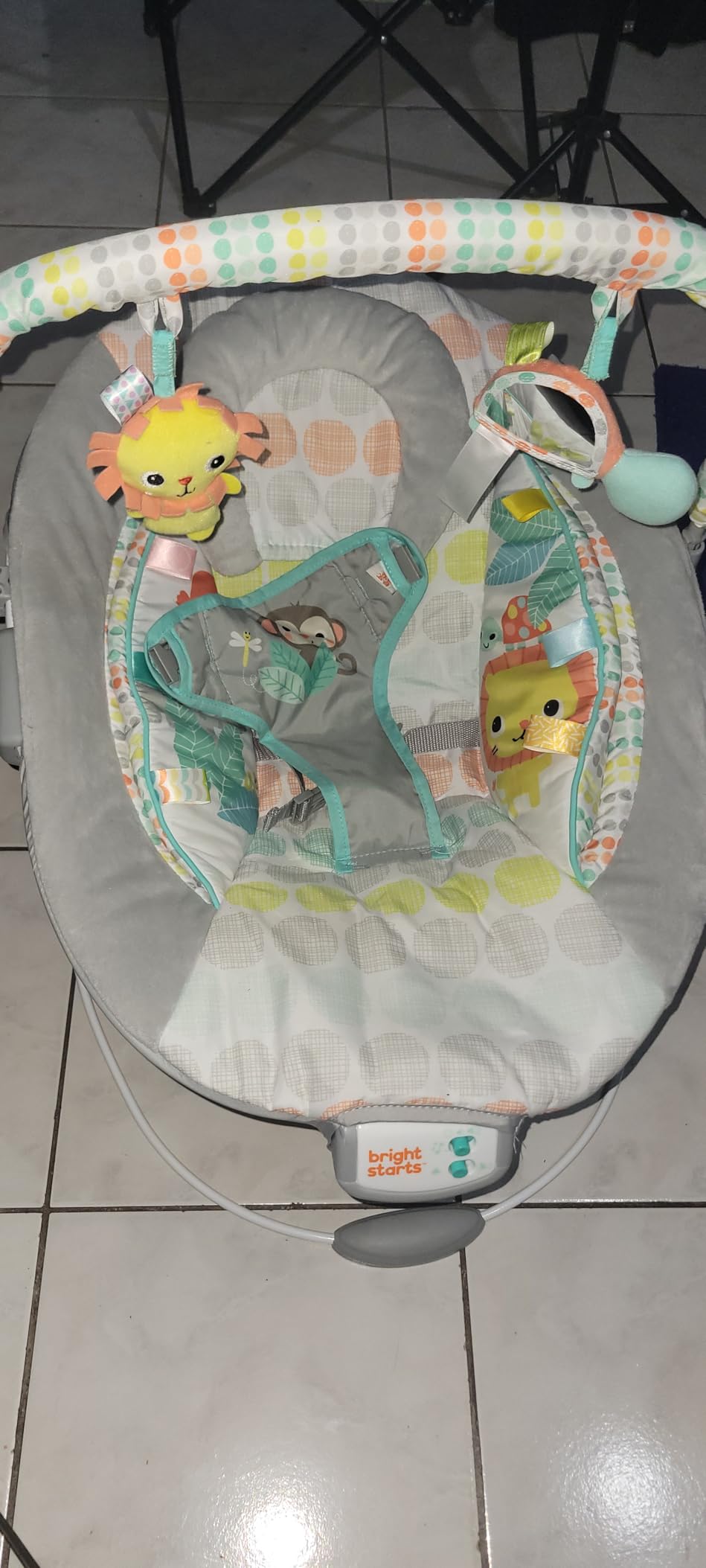 Bright Starts Comfy Baby Bouncer Soothing Vibrations Infant Seat - Taggies, Music, Removable -Toy Bar, 0-6 Months Up to 20 lbs (Whimsical Wild) customer photo 1