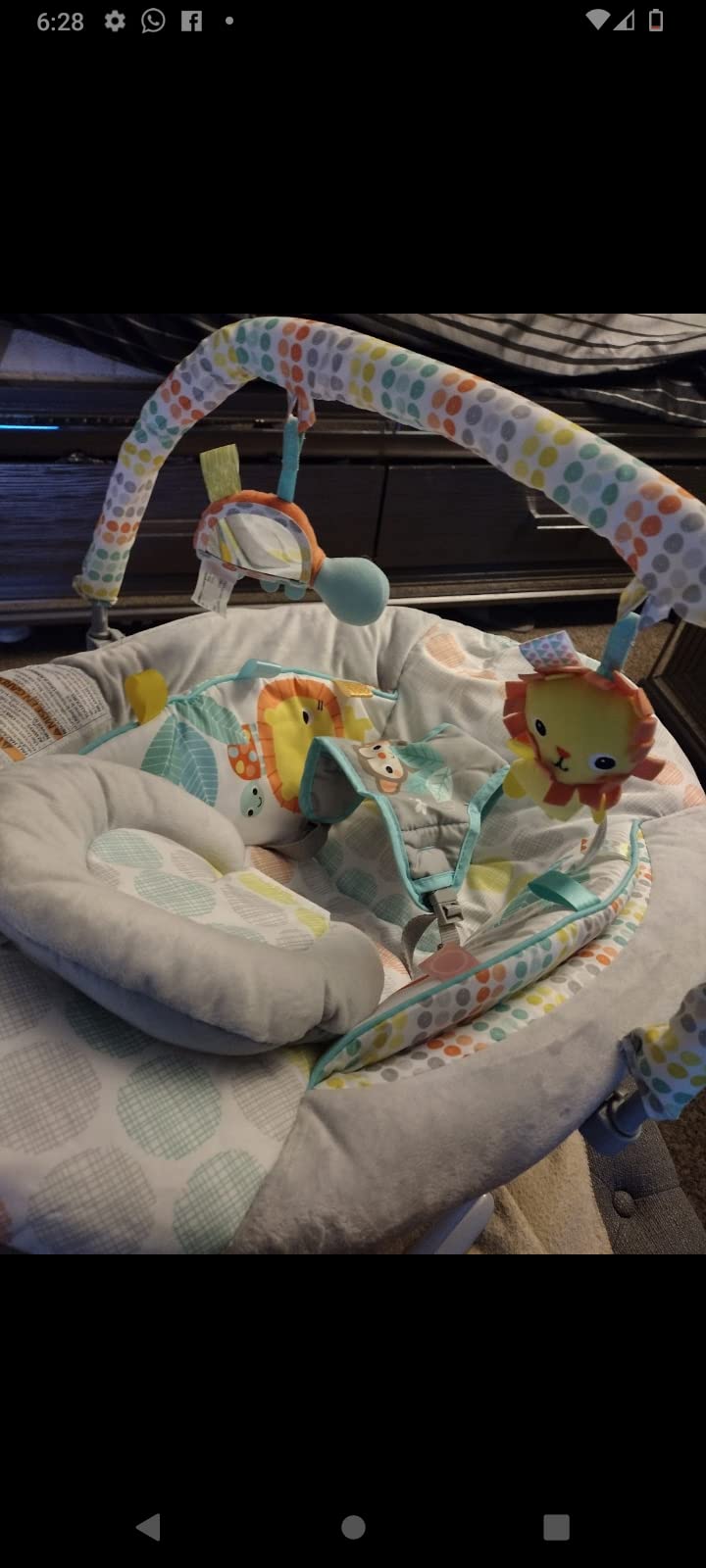Bright Starts Comfy Baby Bouncer Soothing Vibrations Infant Seat - Taggies, Music, Removable -Toy Bar, 0-6 Months Up to 20 lbs (Whimsical Wild) customer photo 2