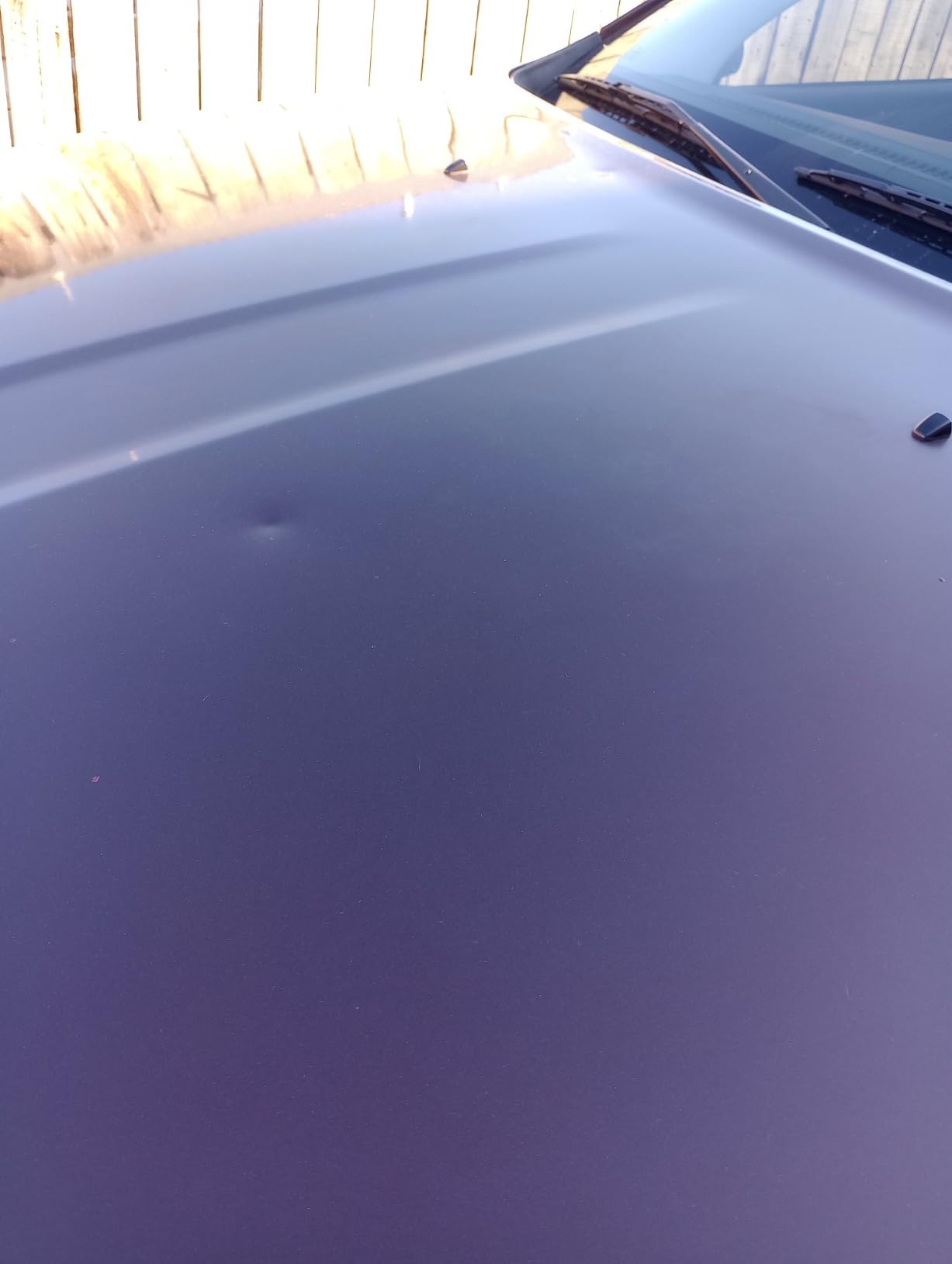Car Gods Iris Custom Color Black 3-in-1 Polish Wax Color Restorer & Scratch Remover, 16 Colors Available, 17 Fl Oz customer photo 2