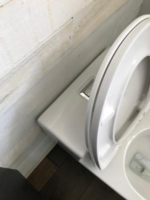 WOODBRIDGE T-0018/B-0735 Dual Flush Elongated One Piece Soft Closing Seat, Comfort Height, White T-0018/B0735, Modern Toilet customer photo 2