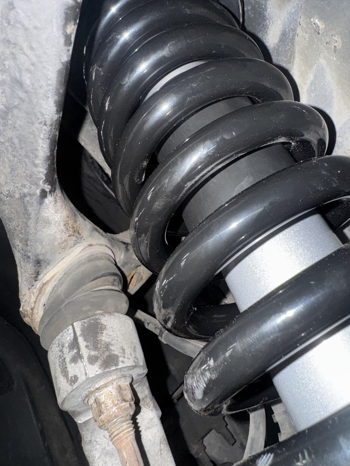 Rough Country Loaded N3 Leveling Struts for Ford F-150 4WD (2014-2025) 2