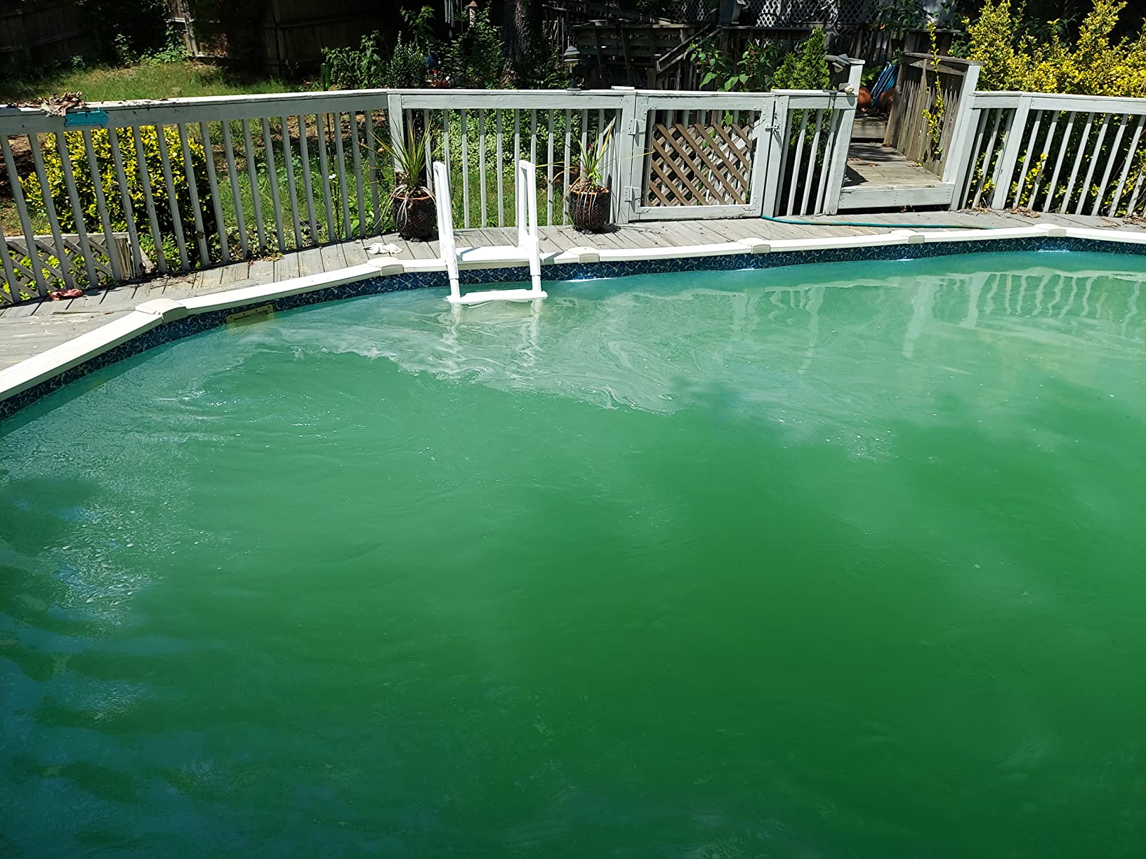 Hayward ProSeries Swimming Pool Sand Filter for Above Ground Pools, 18 Inch customer photo 1