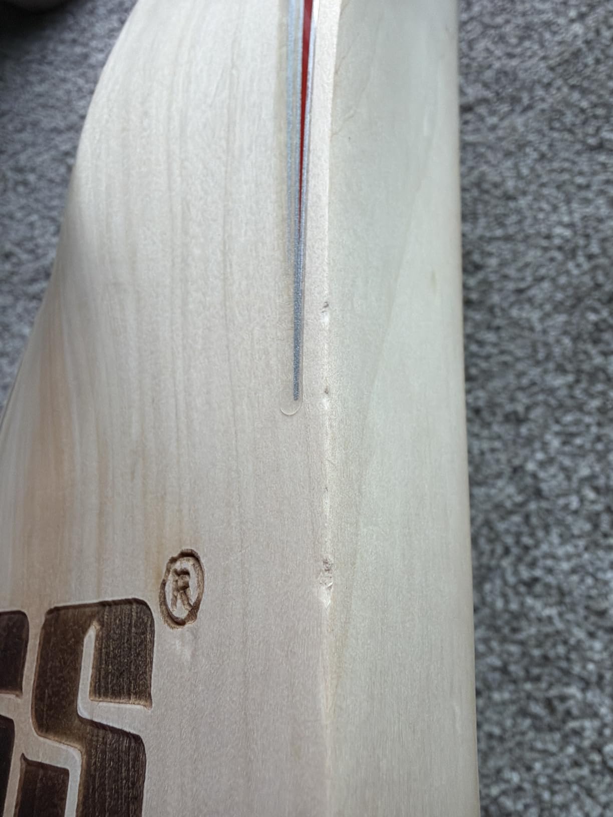 SS T20 Legend Club Kashmir Willow Premium Cricket bat - Limited Edition (Adult Size, Size 3, Size 4 & Size 5) customer photo 1