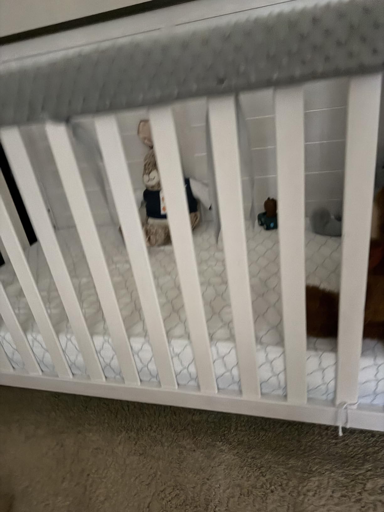 Dourxi Crib Mattress, Dual Sided Comfort Gel Memory Foam Toddler Mattress customer photo 1