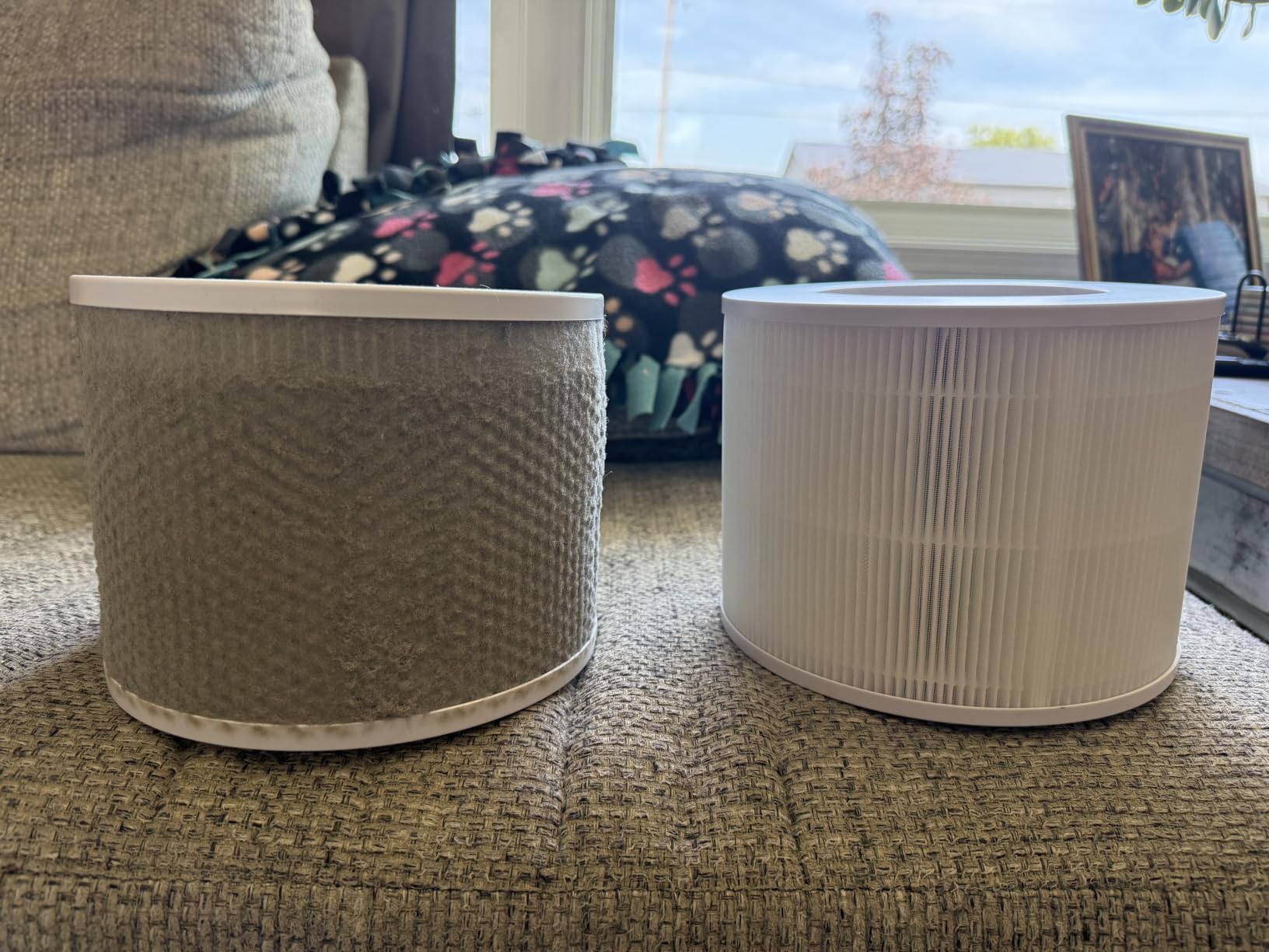 Levoit Core 300-P customer photo 2