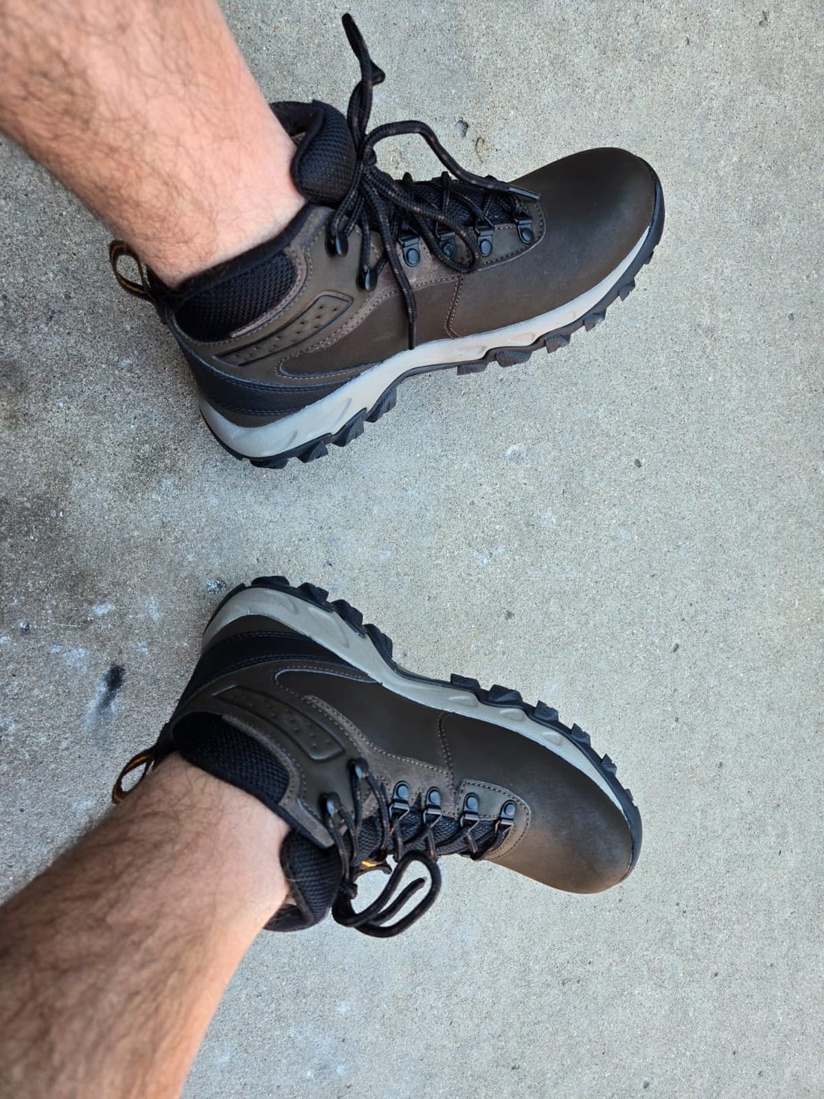 Columbia Men's Newton Ridge Plus II Waterproof Hiking Boot customer photo 2