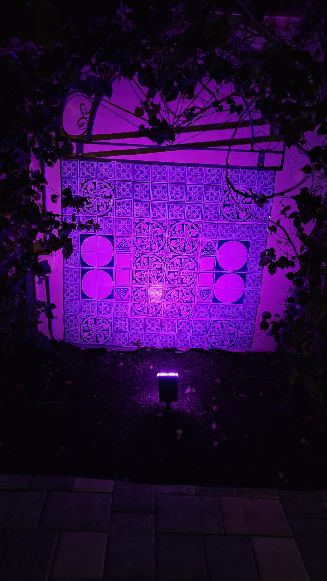 Linkind Solar Lights Outdoor Waterproof Landscape Spotlight Daylight 2 Pack customer photo 2