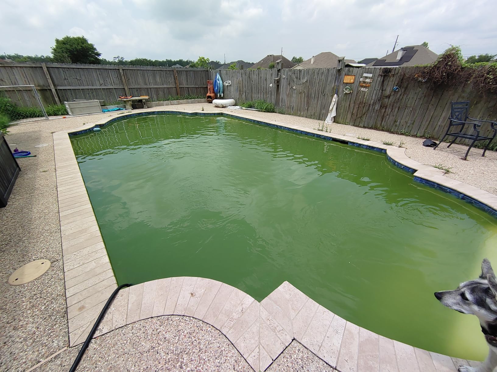 POOLPURE CCP420 Pool Filter Replaces Pentair Clean and Clear Plus 420 4Pack customer photo 2