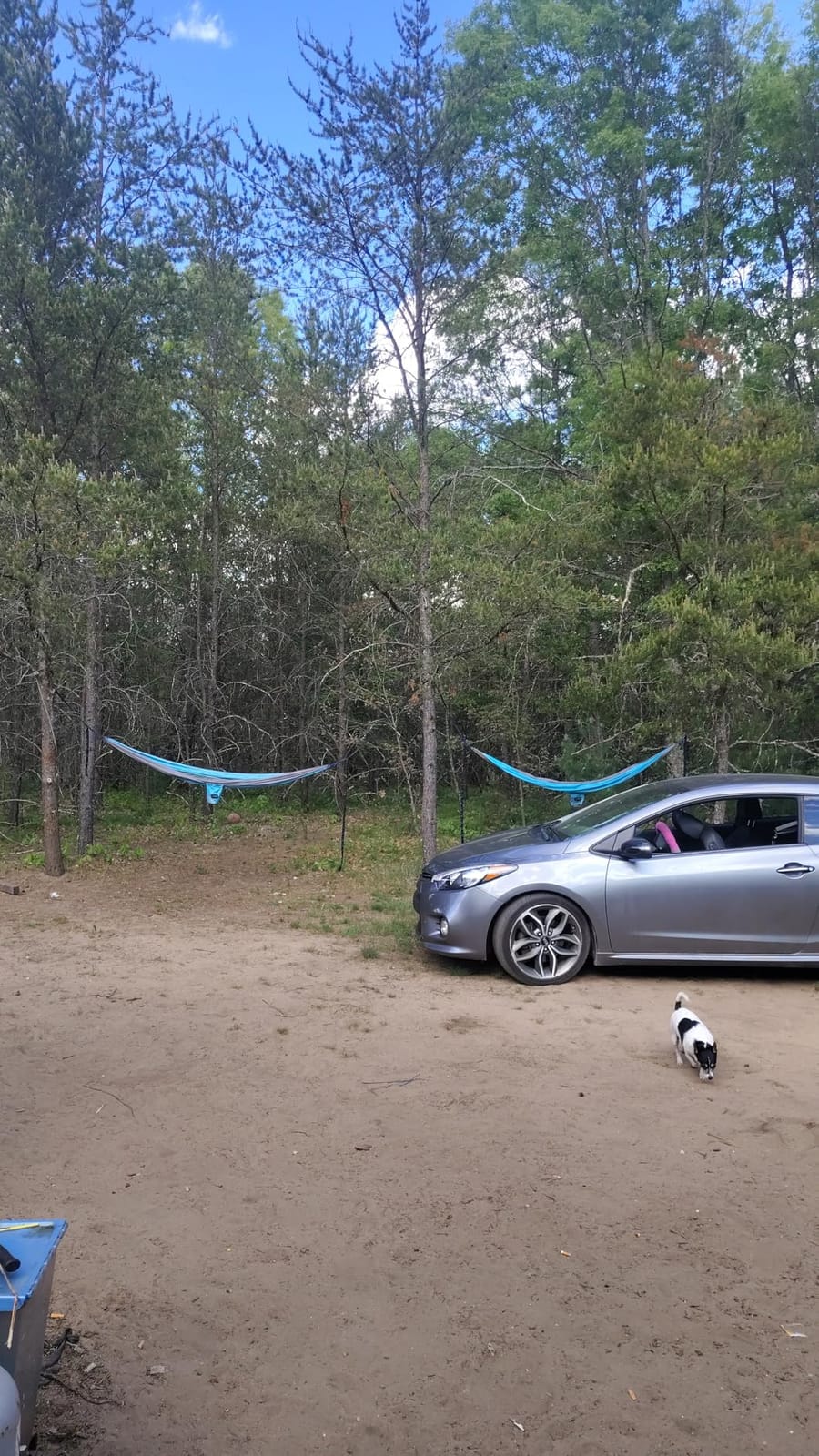 Kootek Camping Hammock 500lbs Capacity Outdoor Camping Essentials, Double customer photo 1
