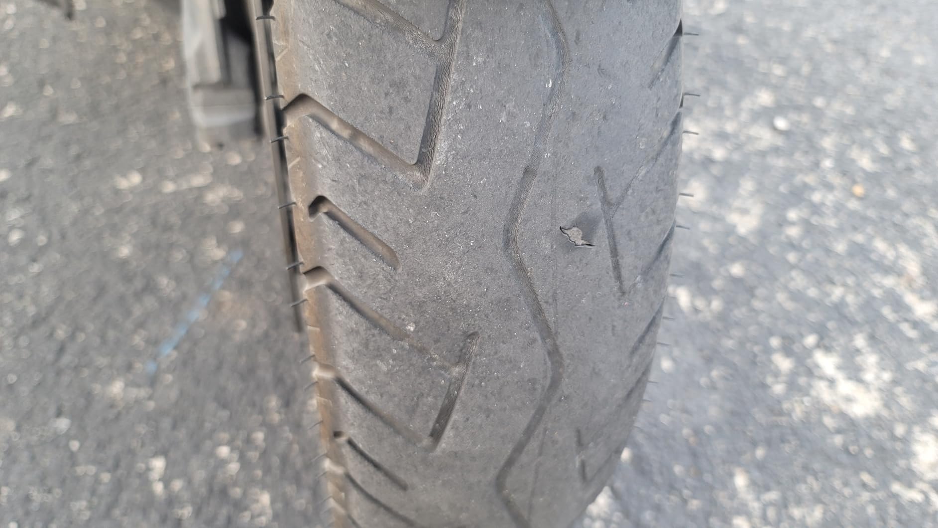 Bridgestone Battlax BT46 Rear Tire (4.00-18 (11647)) customer photo 2