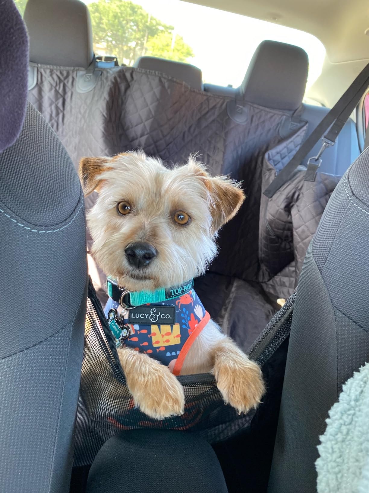 Vailge Dog Car Seat Cover for Back Seat, 100% Waterproof Back Seat Pet Cover for Dogs with Mesh Window, Scratch Prevent Antinslip Dog Hammock for Car customer photo 2