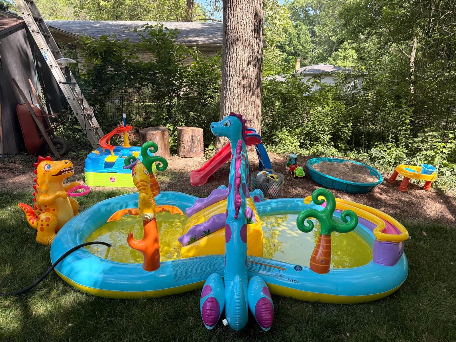 INTEX 57128MW Shark Play Center Inflatable Kiddie Pool, 61.5in x 51in x 33in, Ages 2+ customer photo 2