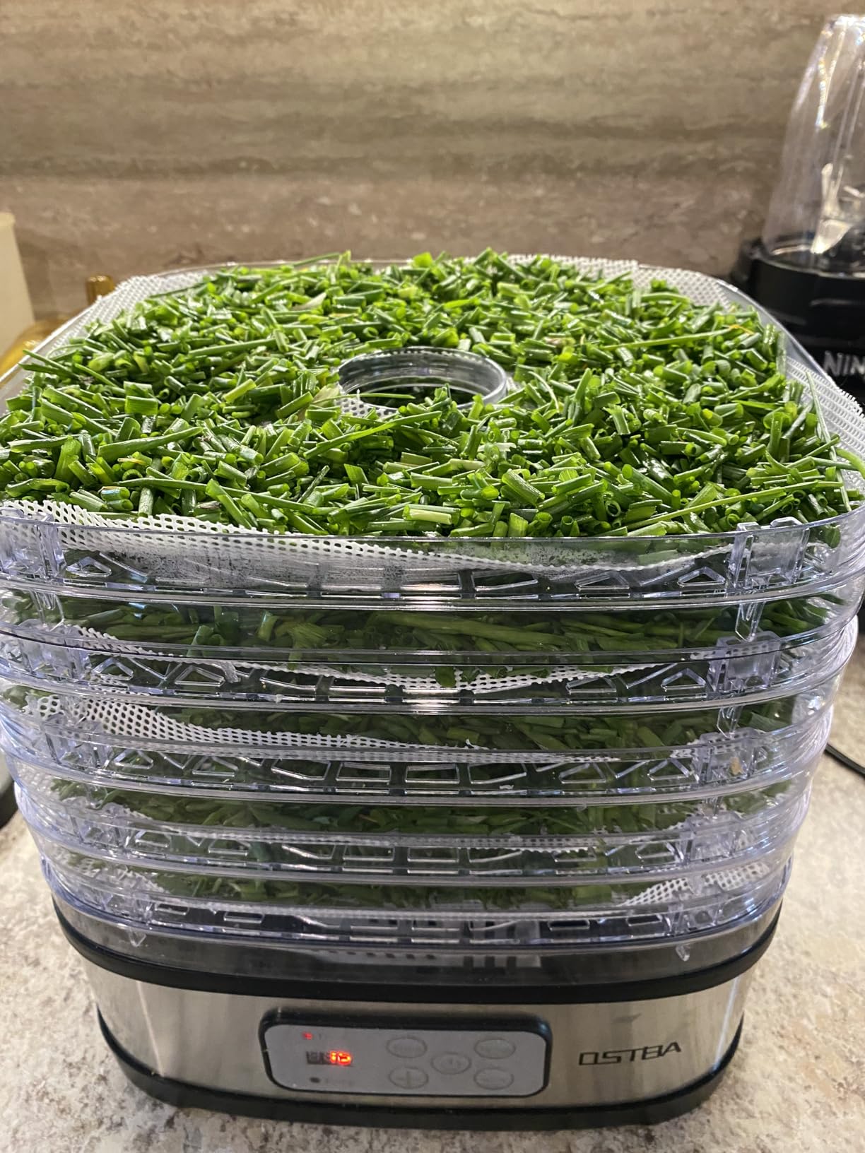 OSTBA Food Dehydrator, 5 Trays, 240W Dryer for Jerky, Fruit & Snacks customer photo 1