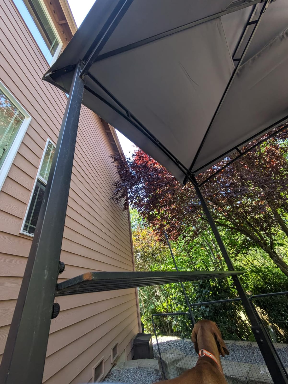 ABCCANOPY 8x5 Grill Gazebo BBQ Shelter with 2 LED Lights, Dark Gray customer photo 2