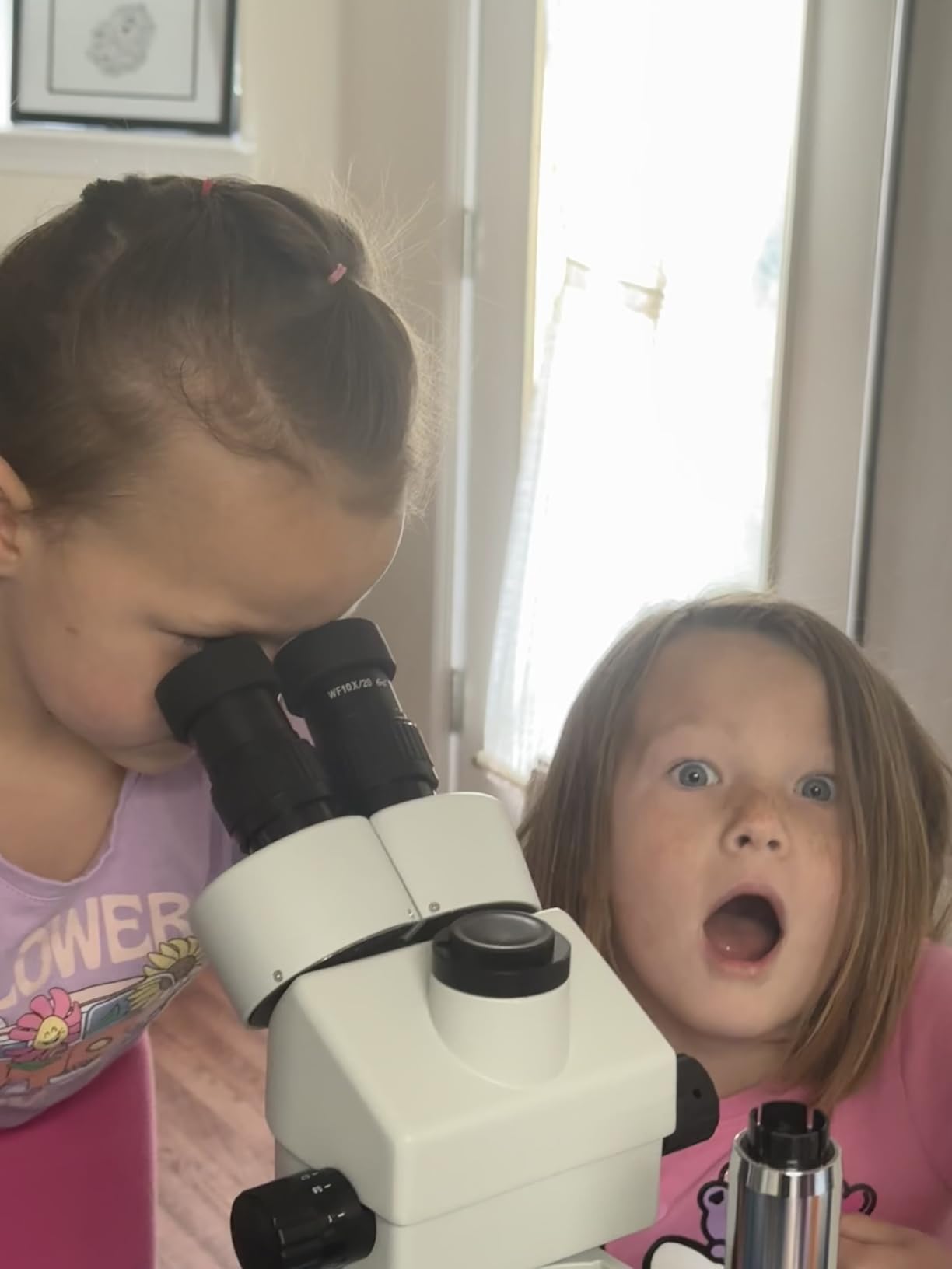 SWIFT Trinocular Stereo Zoom Microscope with 56-Bulb LED Ring Light,3.5X-90X Magnification,WF10X Eyepieces,0.7X-4.5X Zoom Objective, 0.5X 2.0X Additional Objectives,Table Pillar Stand customer photo 1