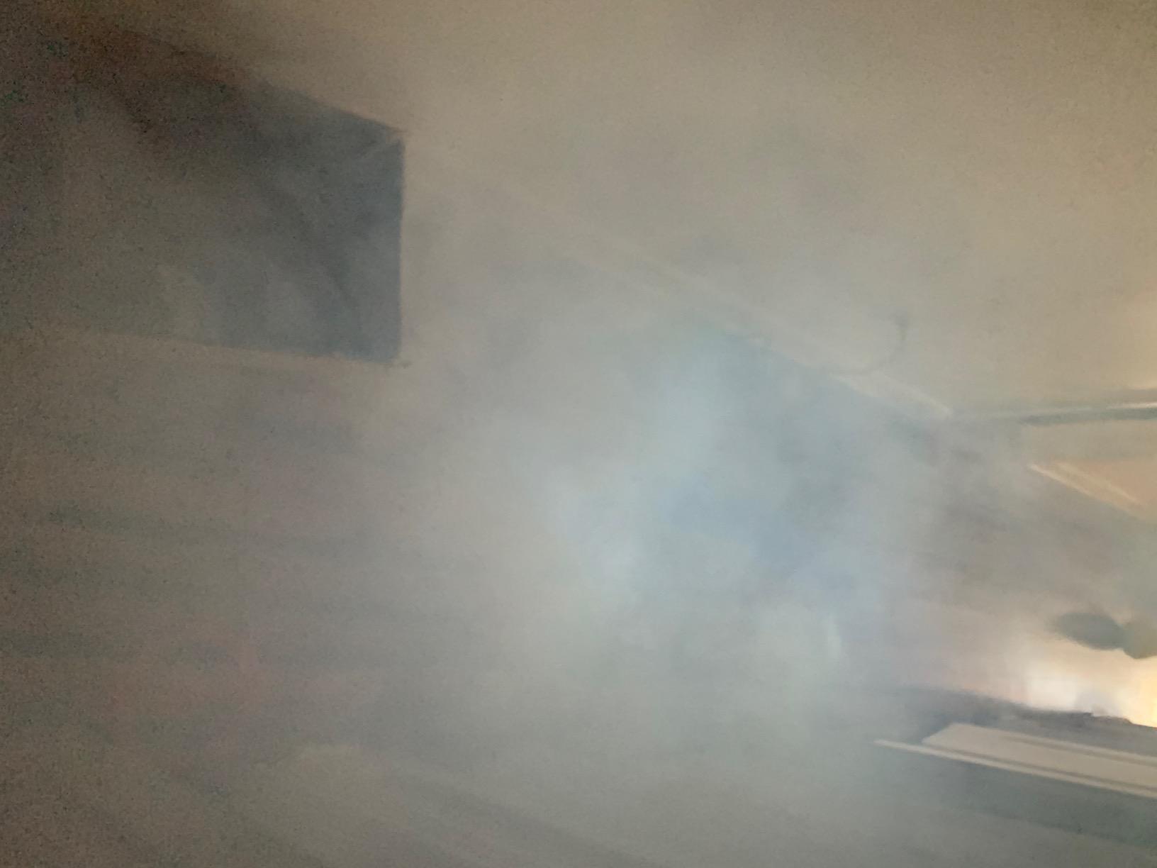 Fansteck Fog Machine Automatic Smoke Machine customer photo 2