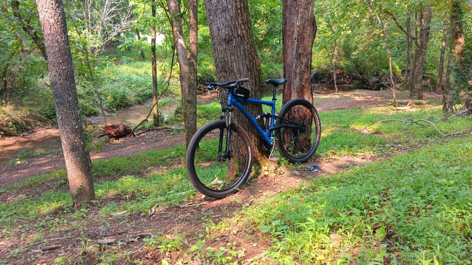 2025 Gravity FSX 29 LTD Dual Suspension 21 Speed Mountain Bike customer photo 1