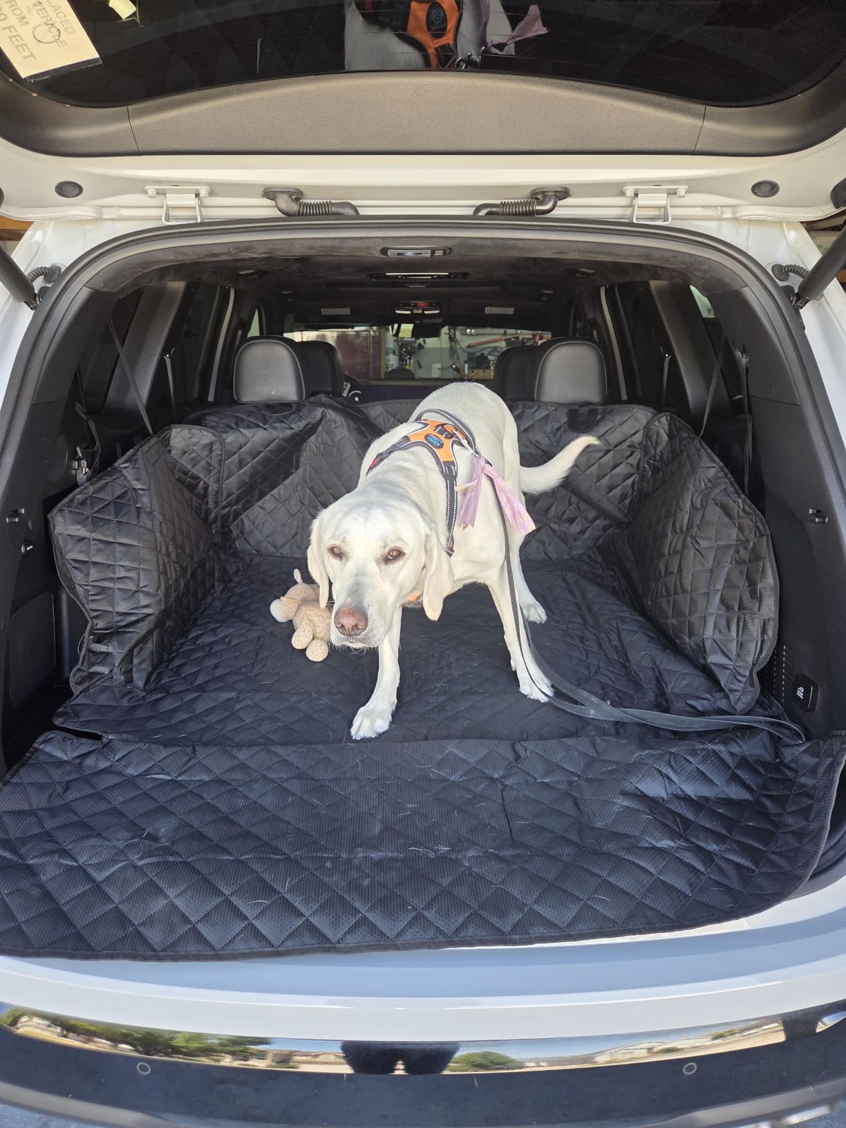 PETICON SUV Cargo Liner for Dogs, Trunk Cover with Bumper Flap Protector customer photo 2