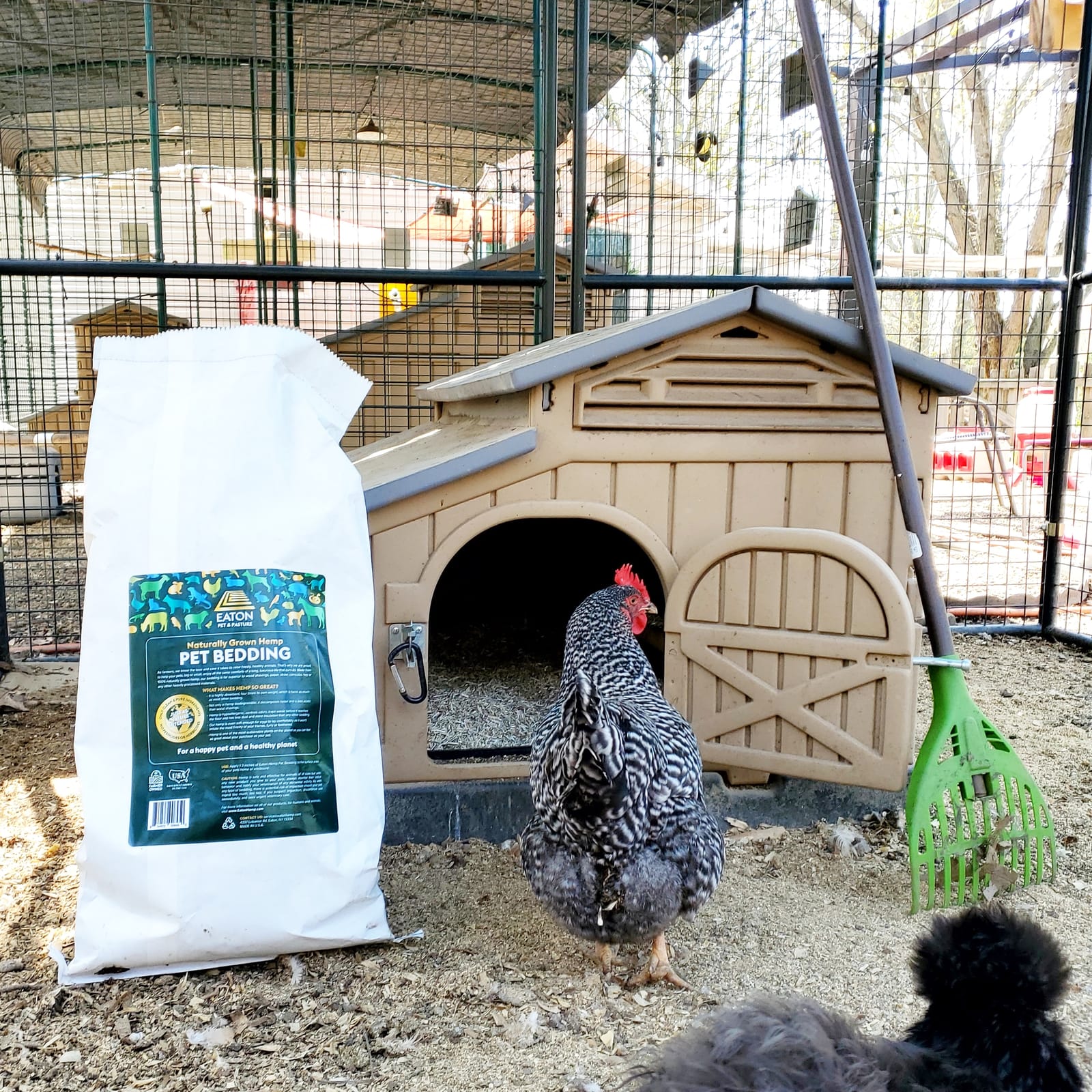 Eaton Pet and Pasture Hemp Bedding for Chickens, Rabbits, Small Pets, 8 Lb customer photo 2