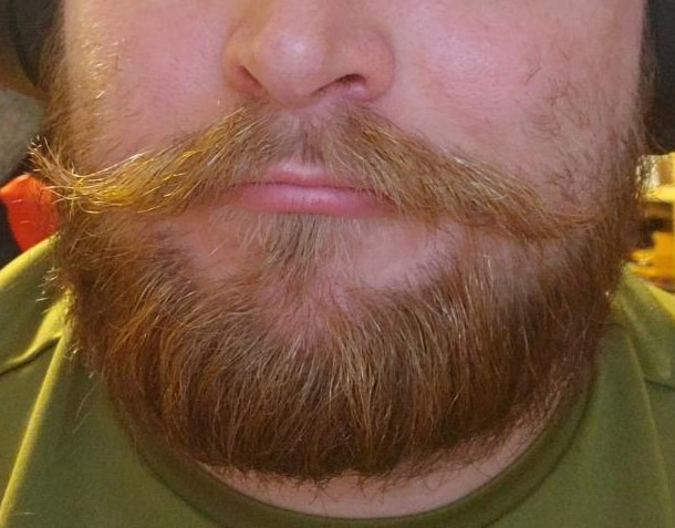 Beard Straightener Kit w/Beard Straightener, Beard Balm, Beard Growth Oil, Beard Styling Comb & Scissors, Upgraded 5-in-1 Beard Straightening, Unique Stocking Stuffer Gifts for Friend, Father & Him customer photo 1