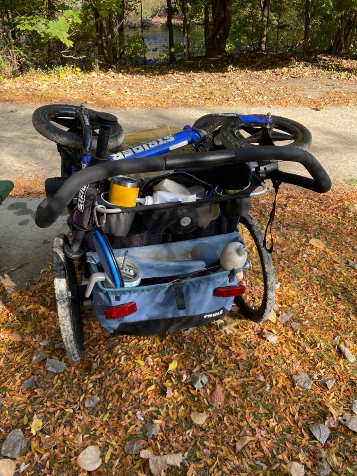 Thule Chariot Cross Multisport Trailer & Stroller customer photo 2
