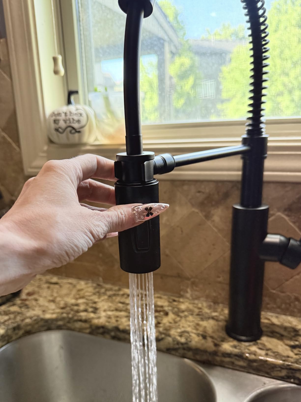 Delta Antoni Pro Style Commercial Kitchen Faucet with Pull Down Sprayer, Brushed Nickel Single Hole Kitchen Sink Faucet, Single Handle, Spotshield Stainless 18803-SP-DST customer photo 2