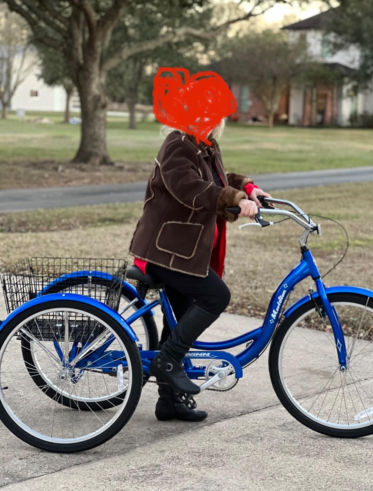Schwinn Meridian customer photo 2