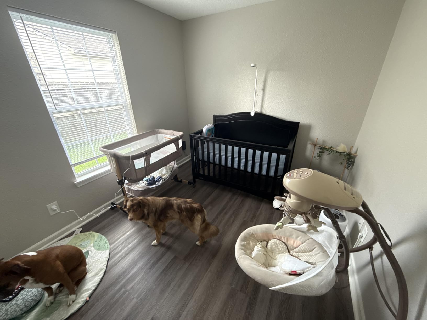 Graco Paris 4-in-1 Convertible Crib, White customer photo 2
