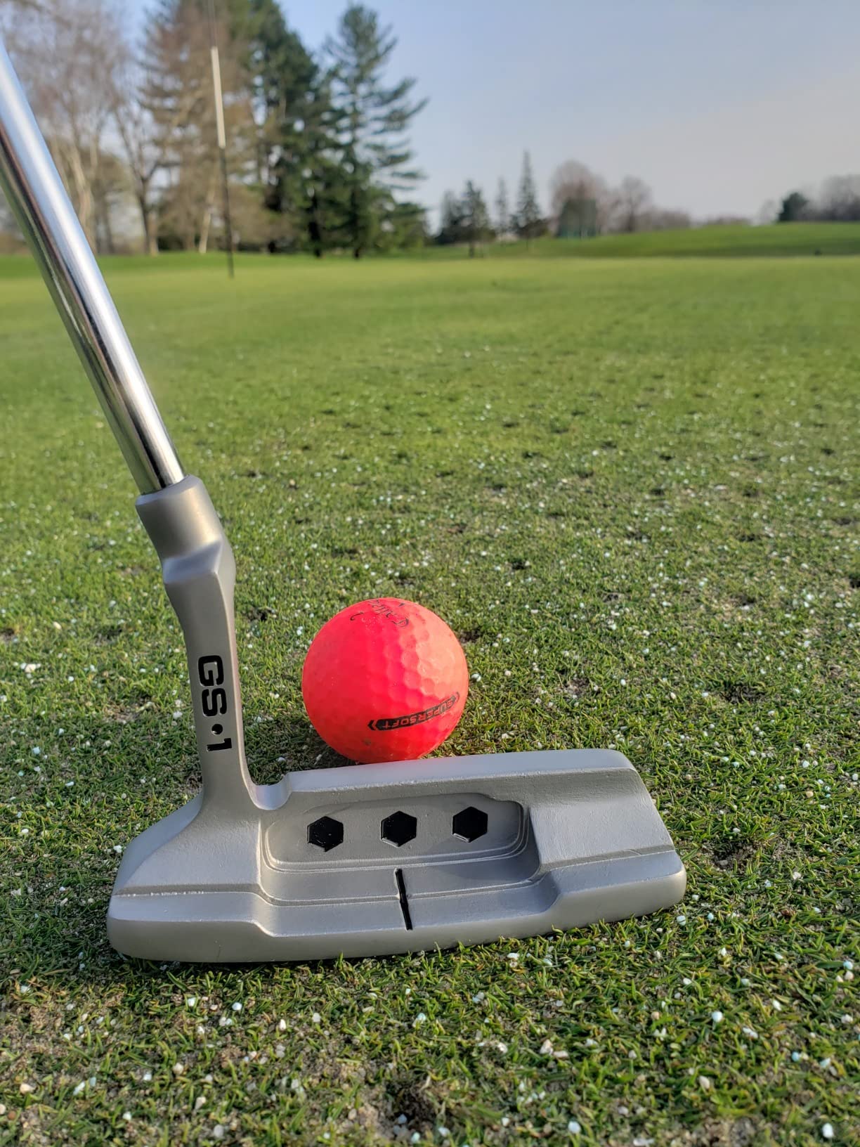GoSports GS1 Tour Golf Putter – Choose Oversized Grip or Traditional Grip - 34” Right-Handed Blade Putter with Milled Face customer photo 2