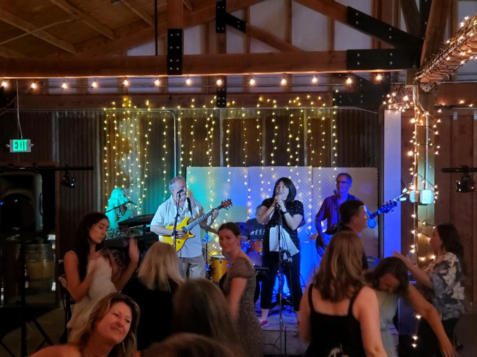 AQOOL Stage Par Lights, RGBW 4-in-1 LED Par Light Stage Lights DMX customer photo 1