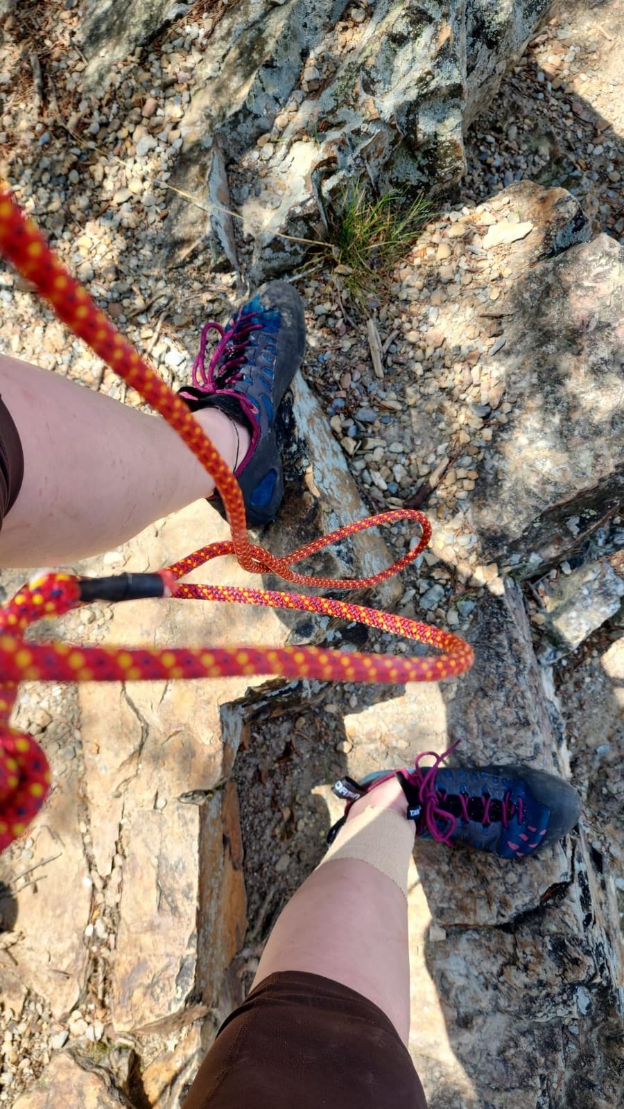 La Sportiva Womens Tarantulace Rock Climbing Shoe customer photo 1