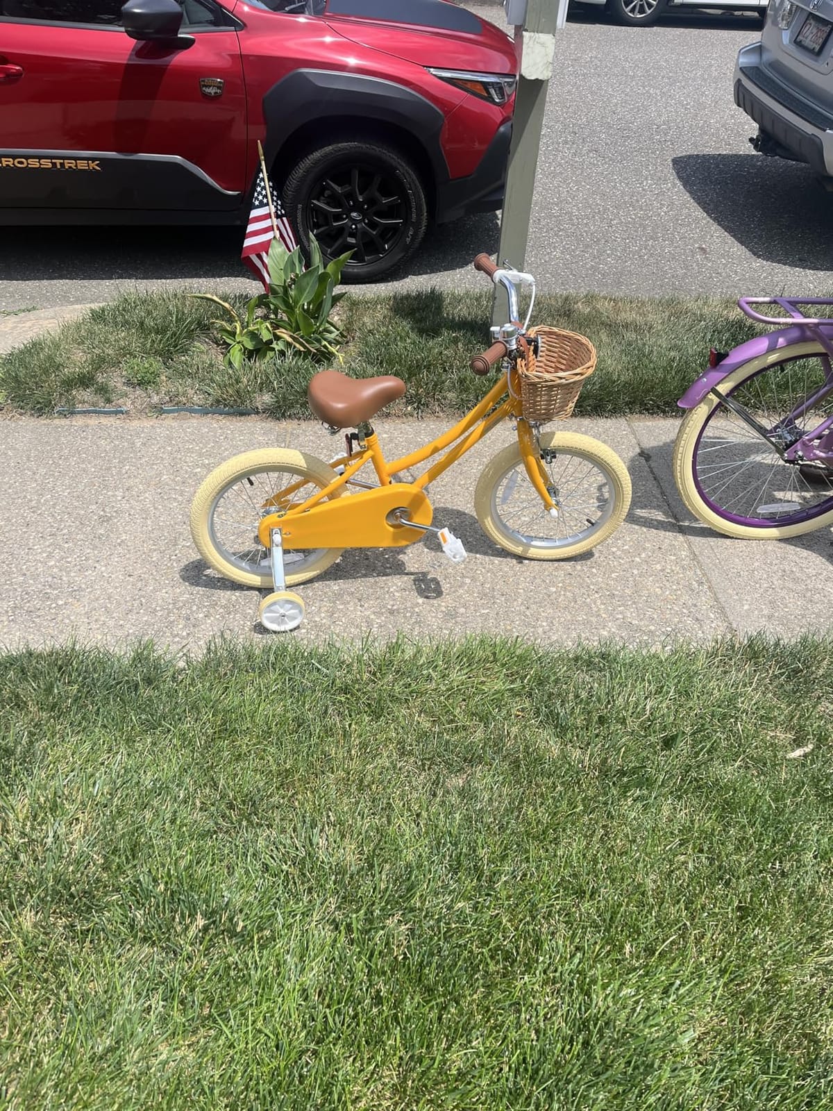 Petimini 12 14 16 18 20 Inch Kids Toddler Bike for Boys Girls customer photo 1