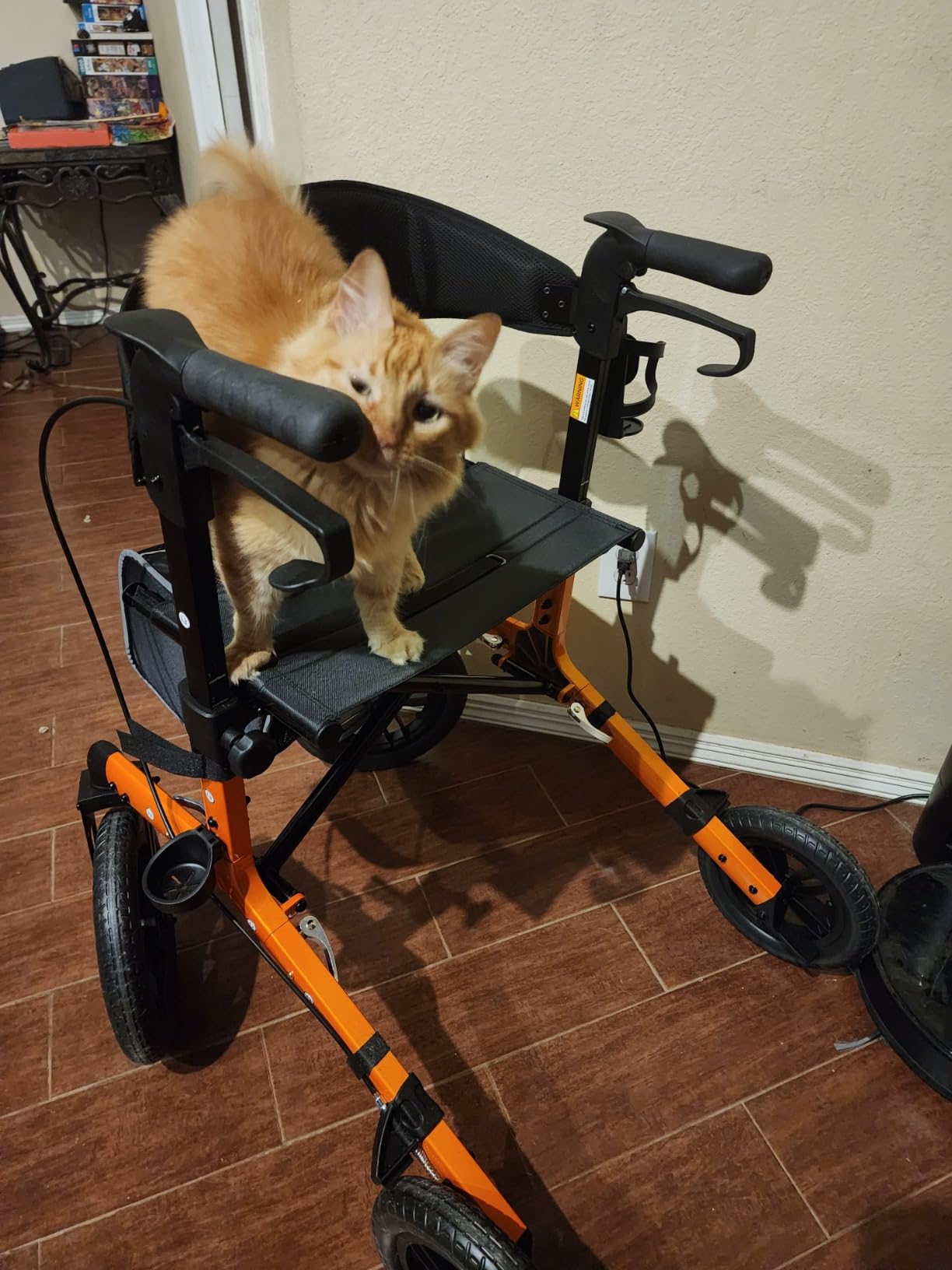 ELENKER All-Terrain Rollator Walker with Non-Pneumatic Tire 12” Front Wheels, Compact Folding Design for Seniors, Red customer photo 1